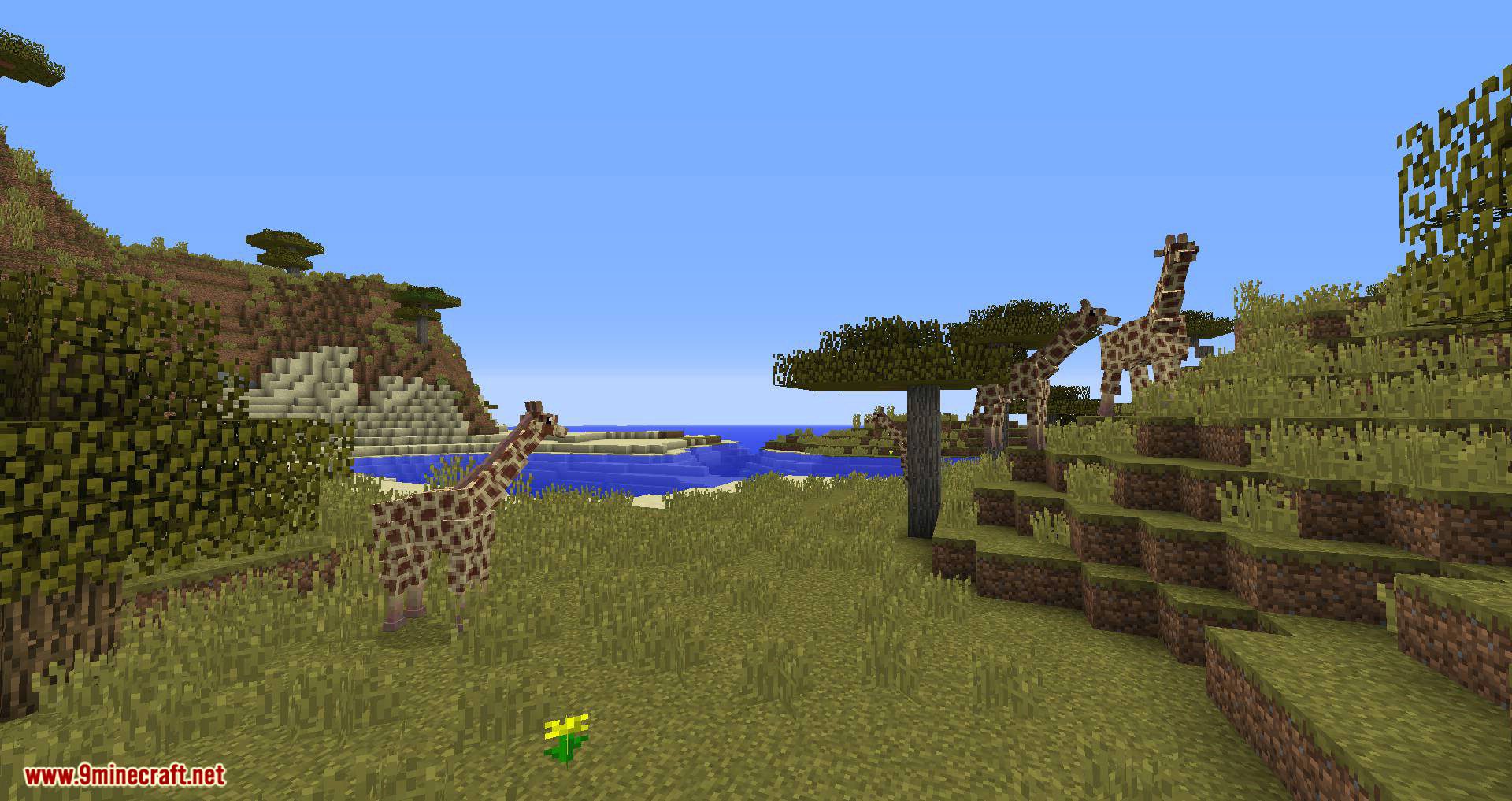 Wizard_s Animals mod for minecraft 04