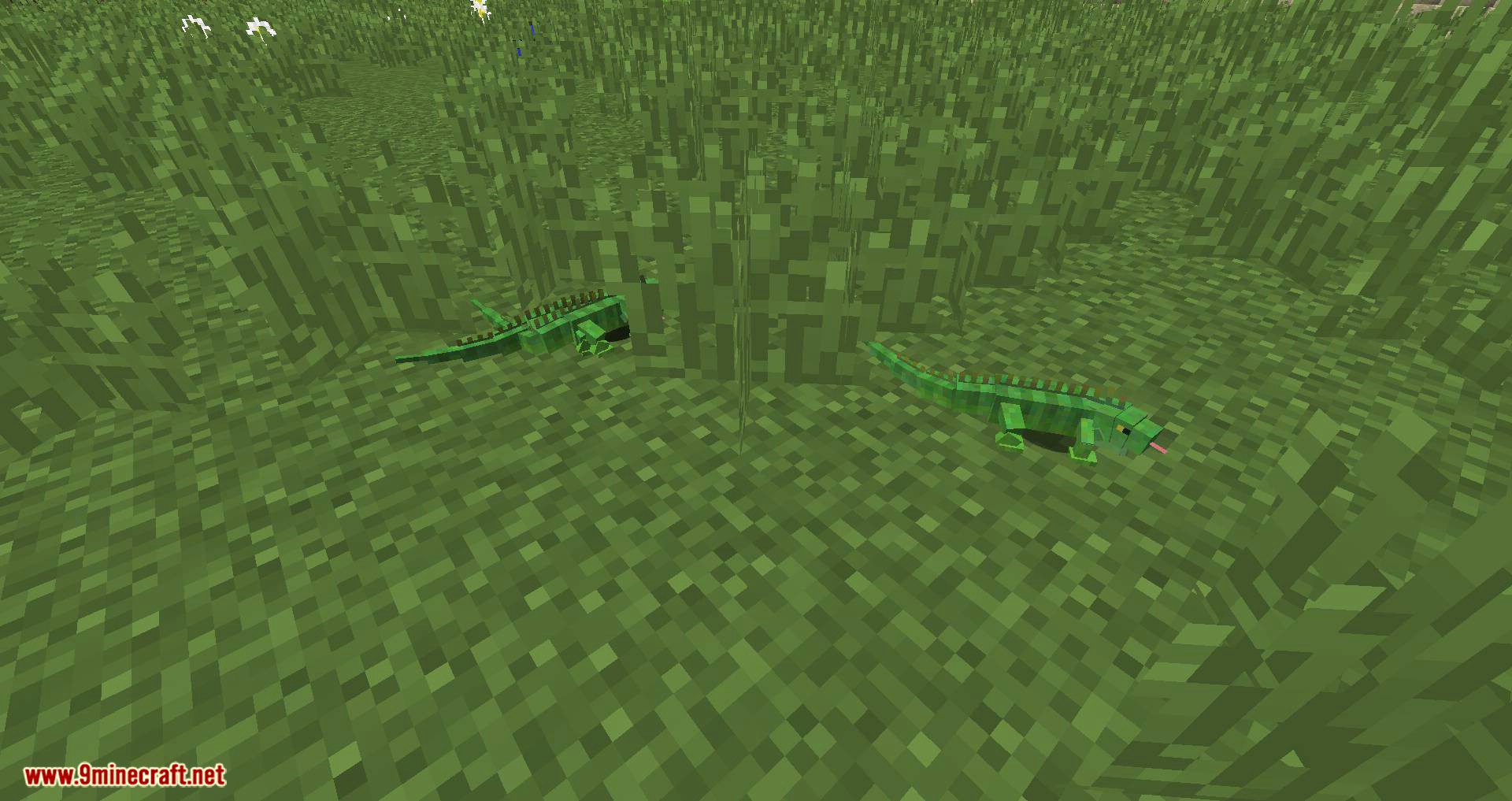 Wizard_s Animals mod for minecraft 06