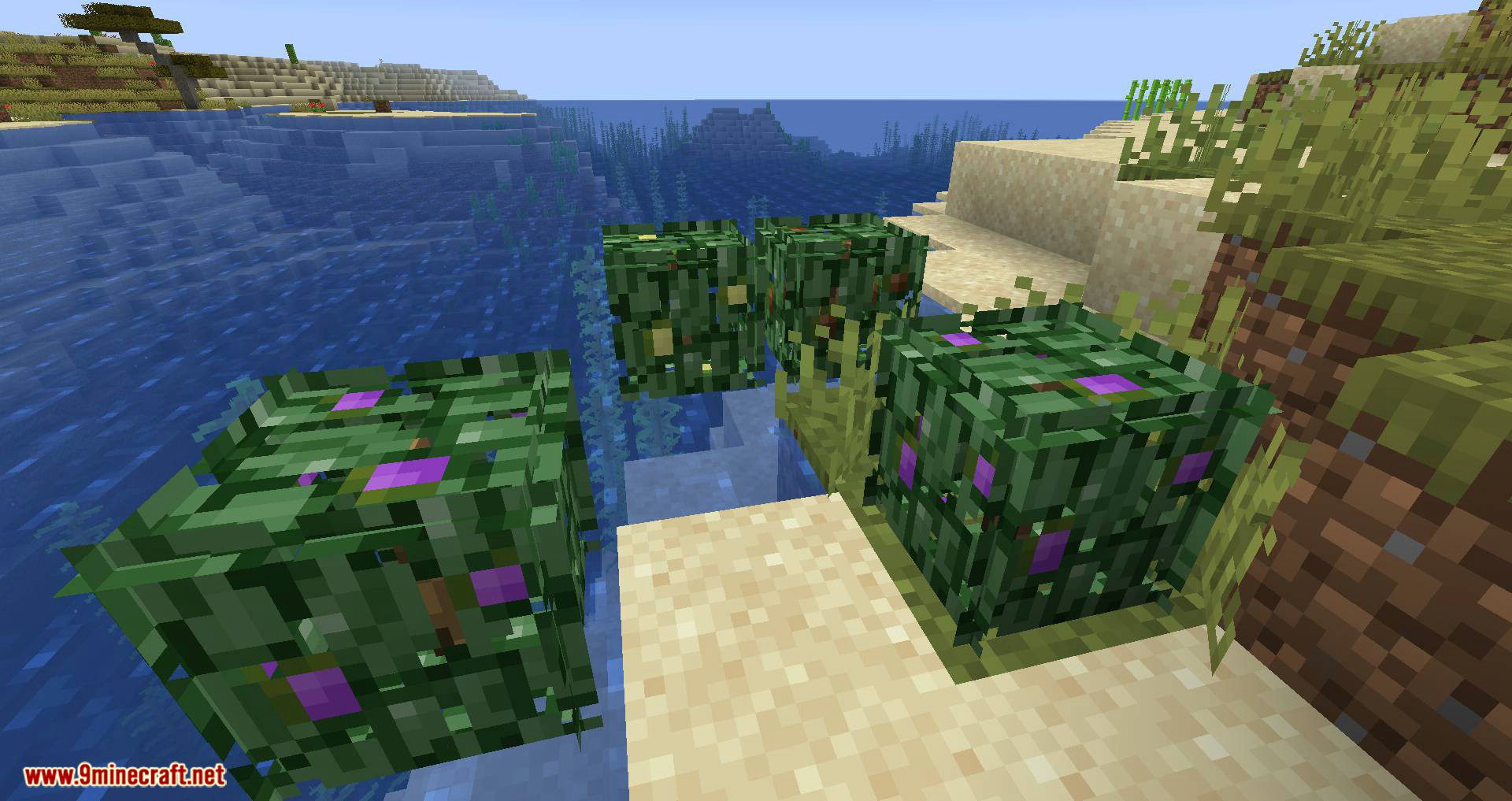 Berry Bushes mod for minecraft 01