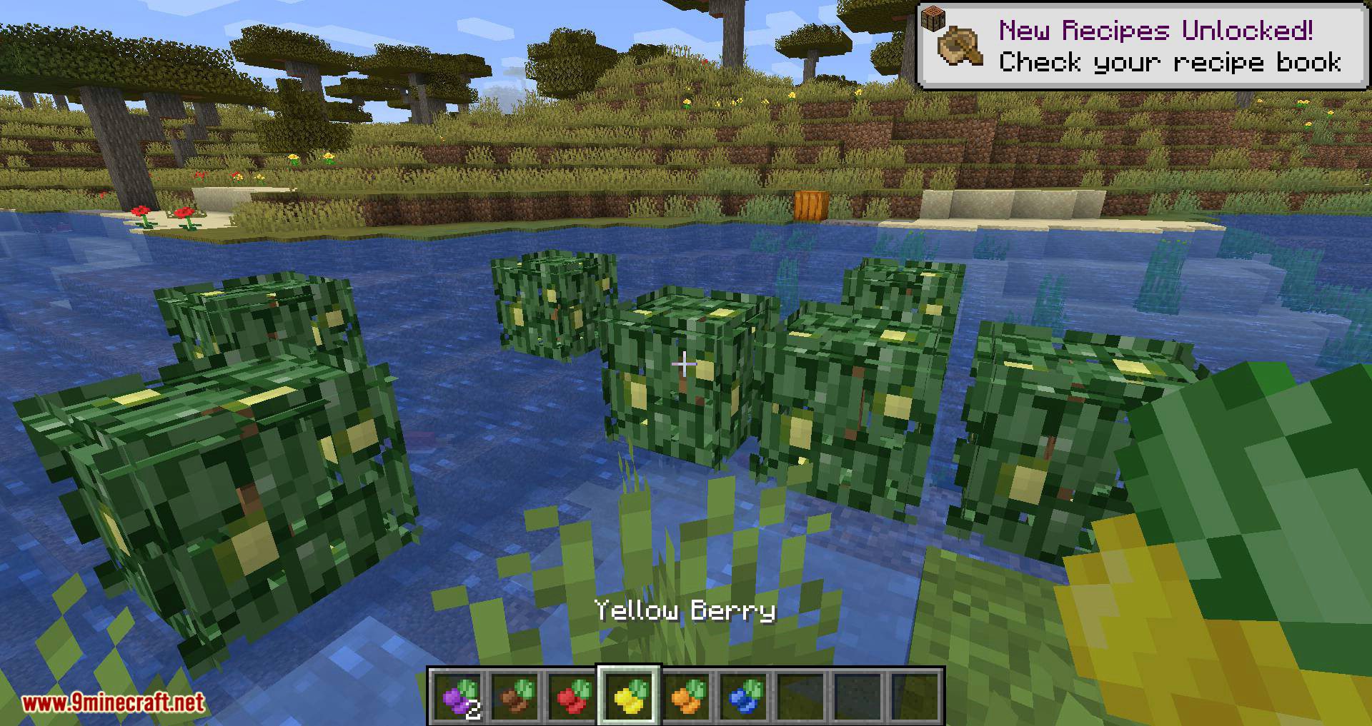 Berry Bushes mod for minecraft 05