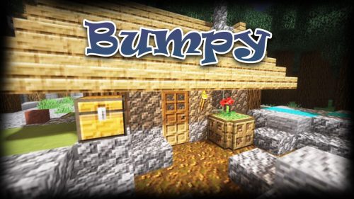 Bumpy Mod