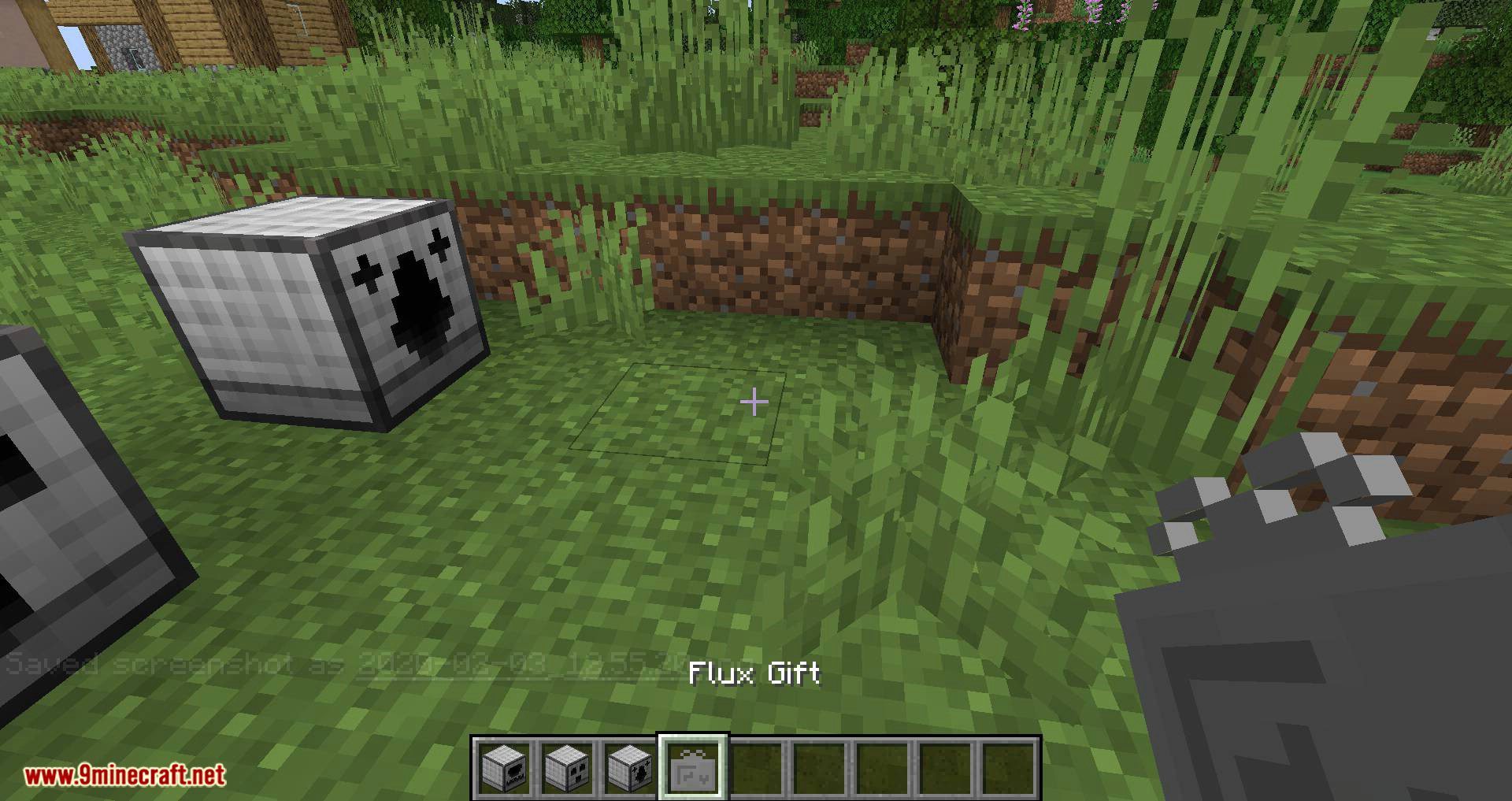 Flux mod for minecraft 07