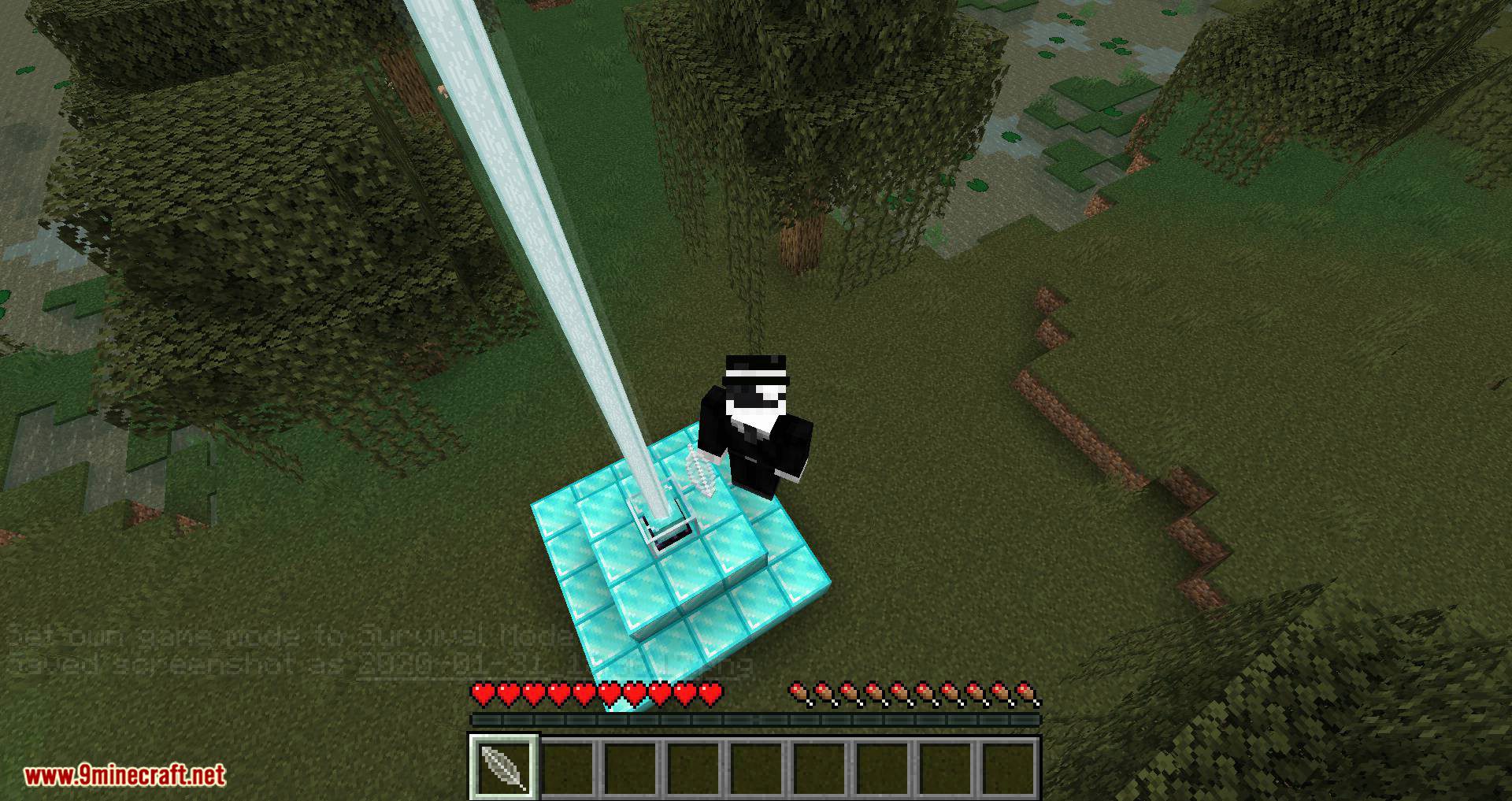 Magic Feather mod for minecraft 05