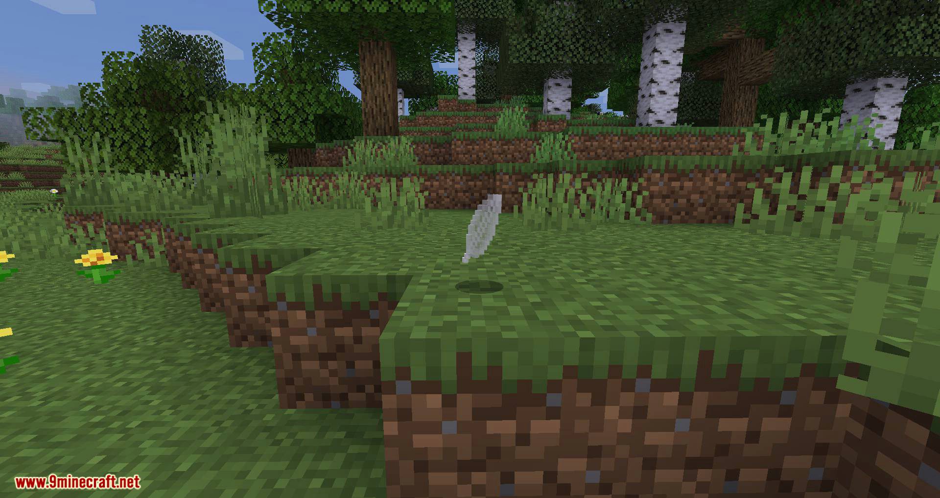 Magic Feather mod for minecraft 10