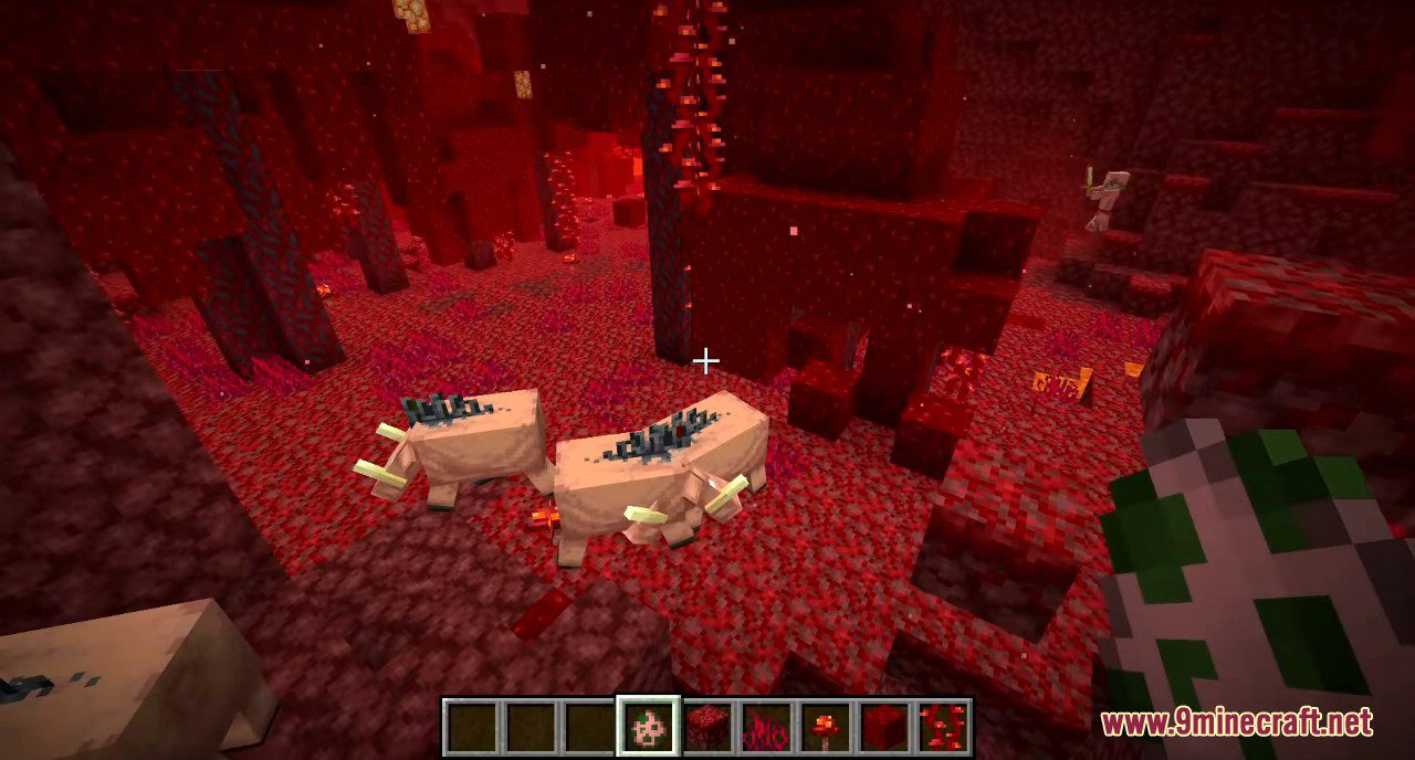 Minecraft 1.16 Snapshot 20w06a Screenshots 5