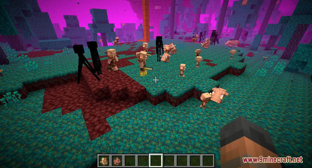 Minecraft 1.16 Snapshot 20w09a Screenshots 10