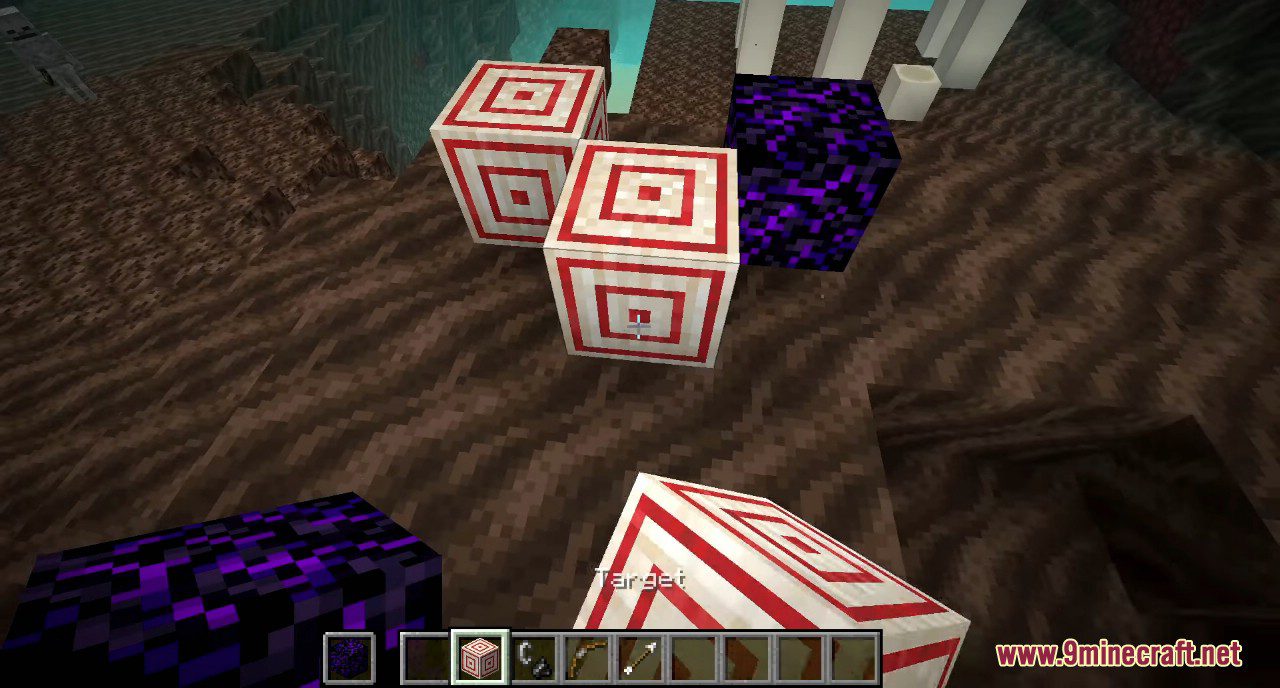 Minecraft 1.16 Snapshot 20w09a Screenshots 3