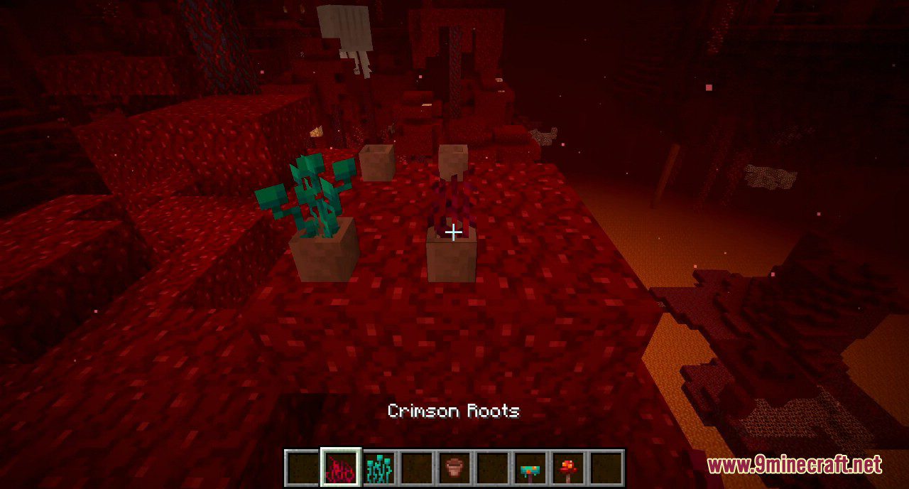 Minecraft 1.16 Snapshot 20w09a Screenshots 9