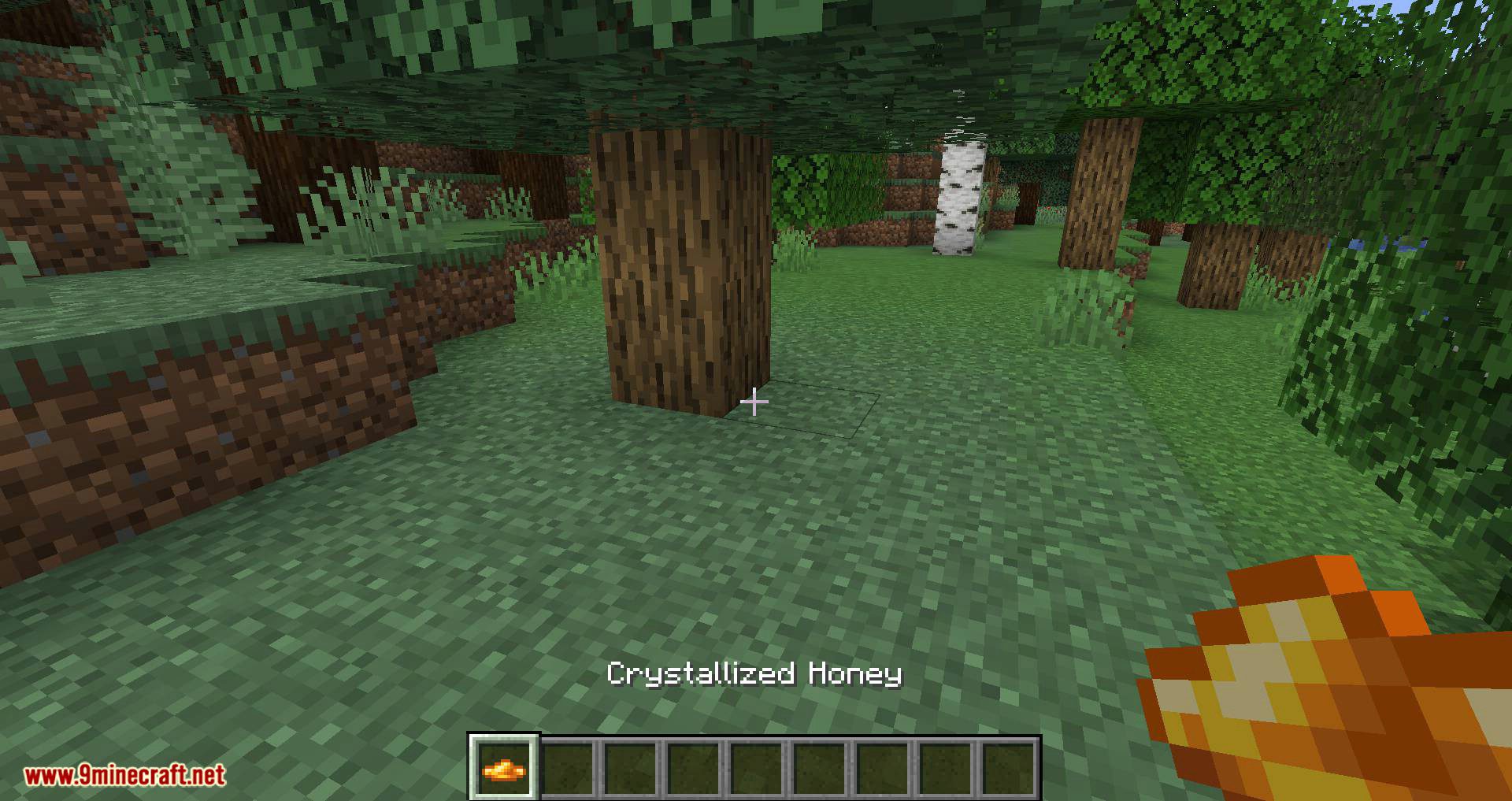 Buzzier Bees mod for minecraft 02