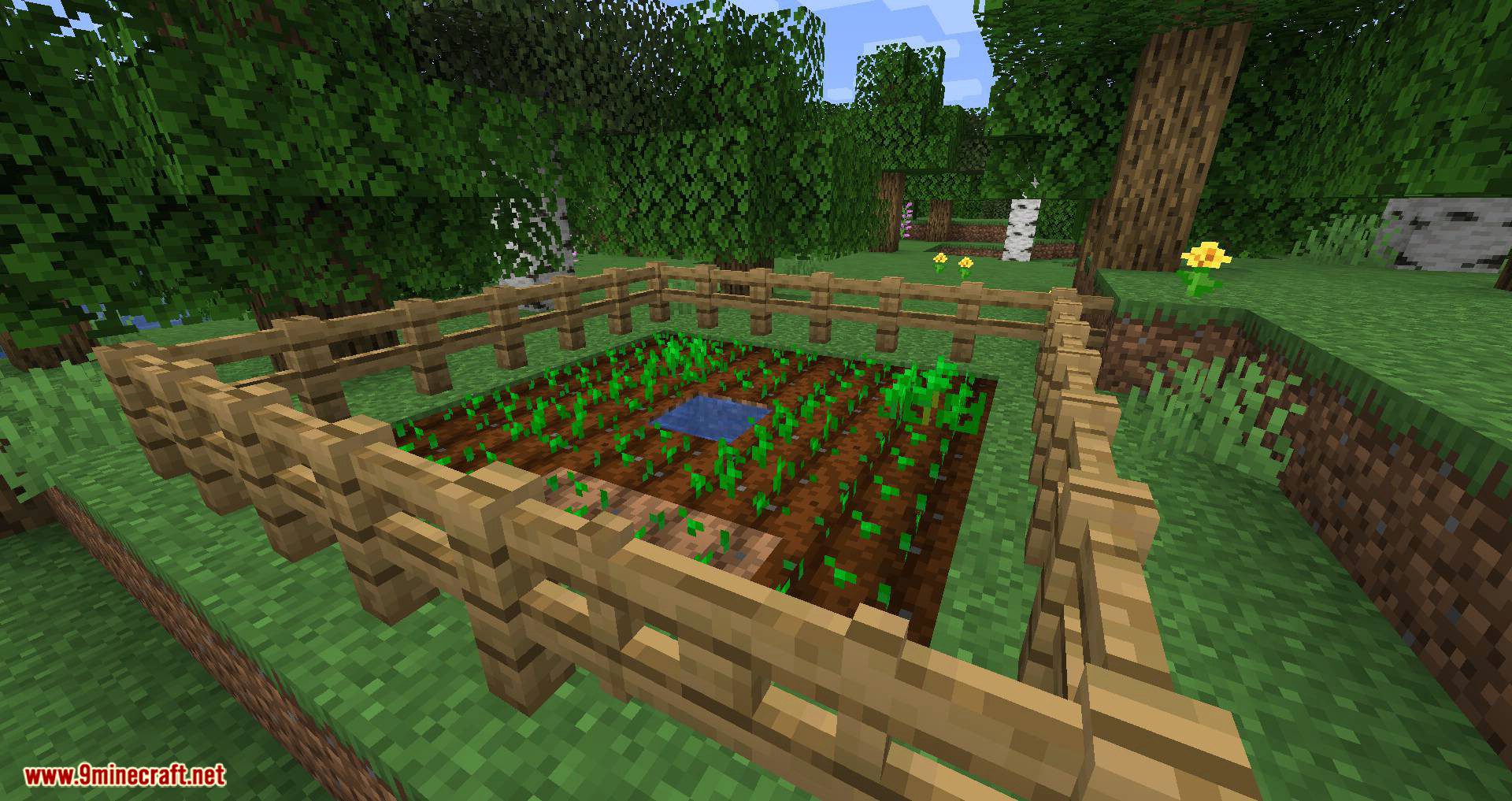 Harvest mod for minecraft 01