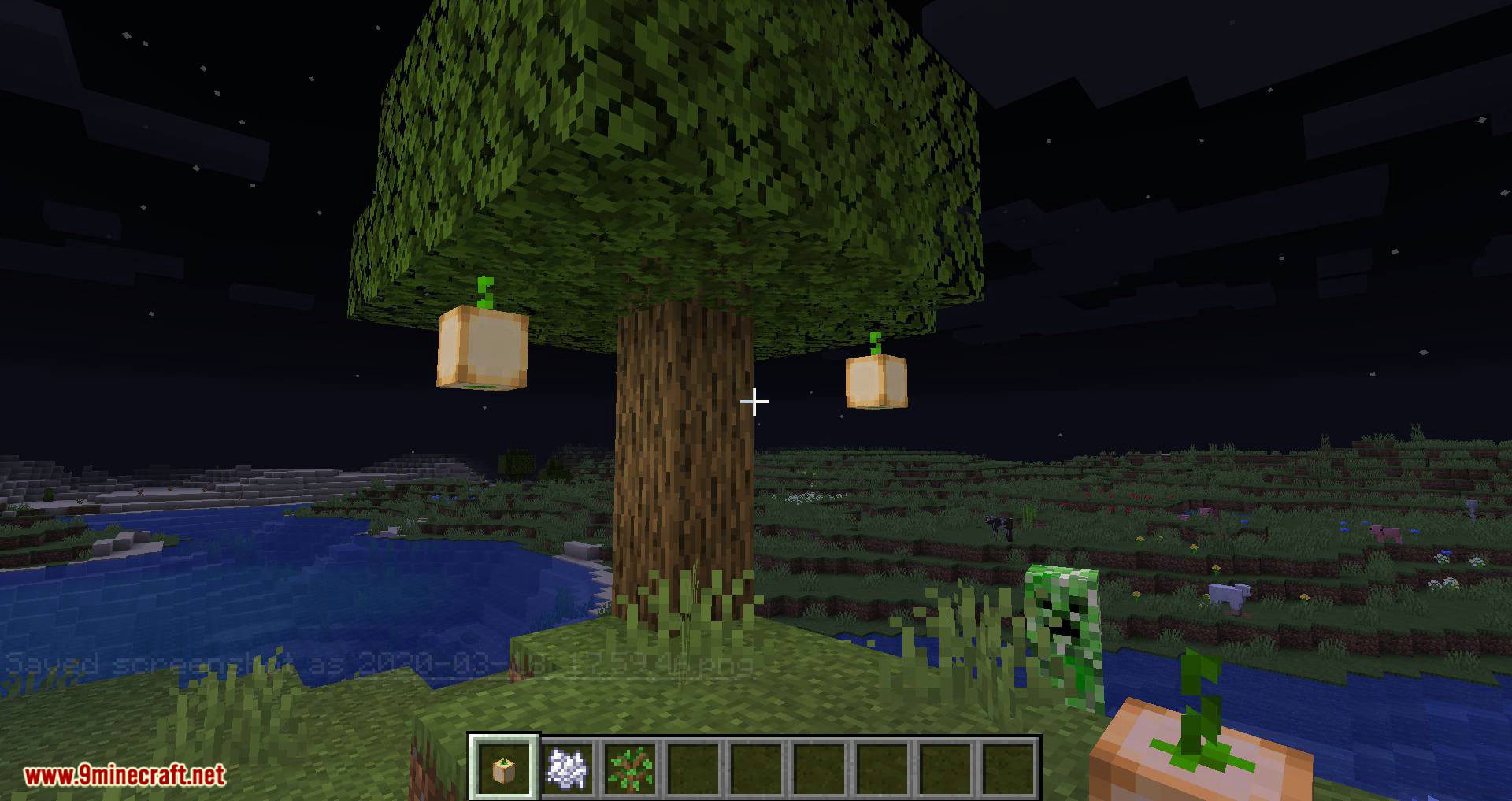 Lightest Lamps mod for minecraft 06