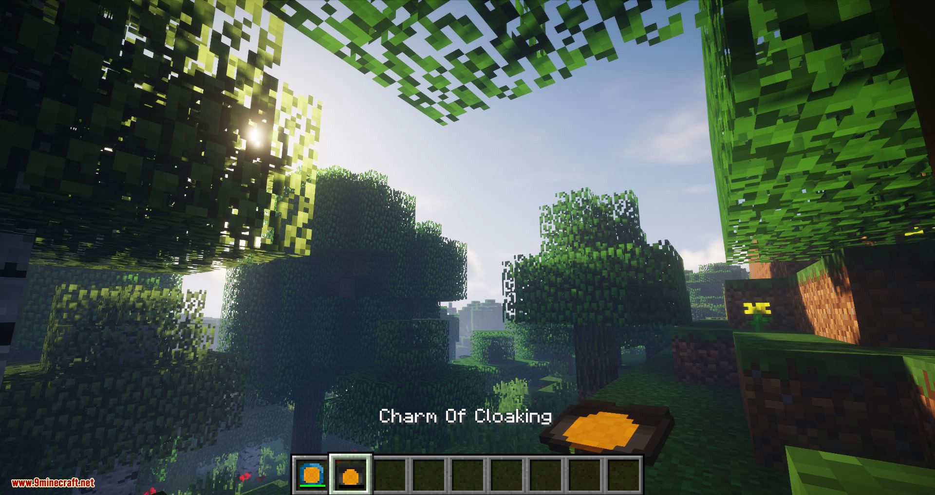 Magic Charms mod for minecraft 12