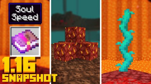 Minecraft 1.16 Snapshot 20w11a