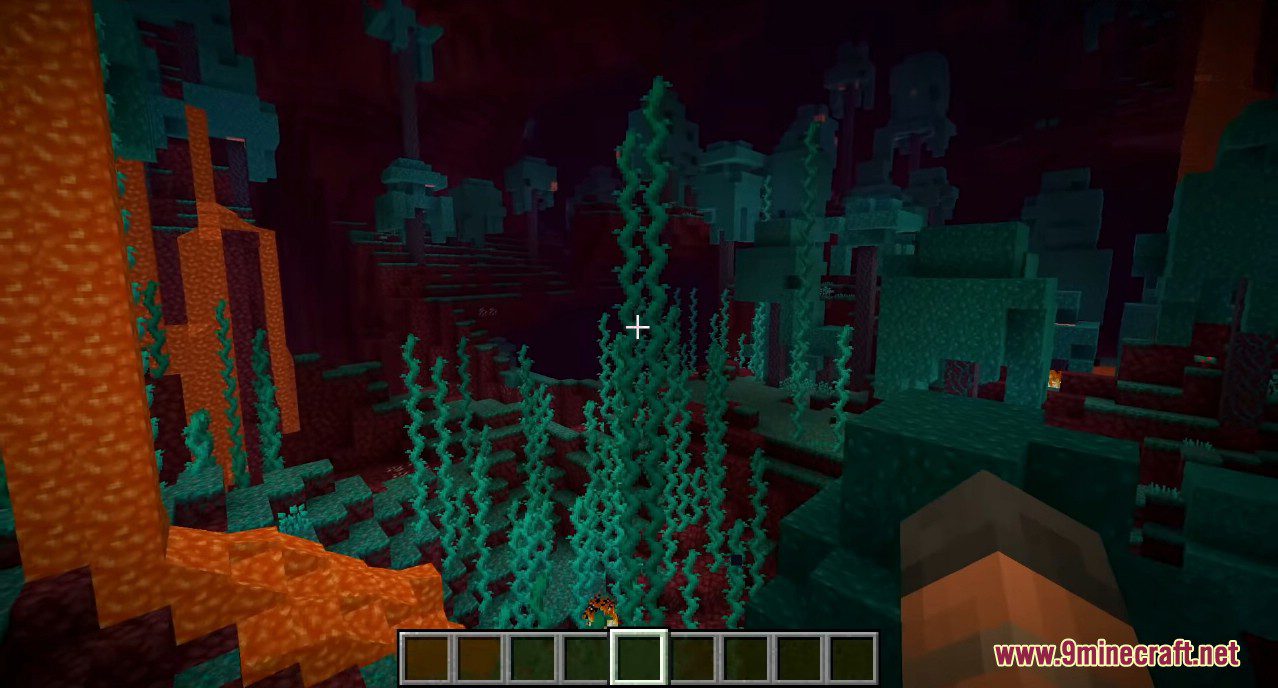 Minecraft 1.16 Snapshot 20w11a Screenshots 4