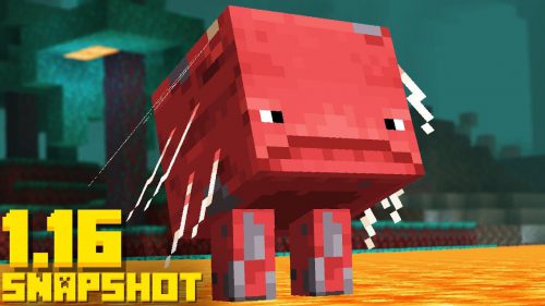 Minecraft 1.16 Snapshot 20w13a