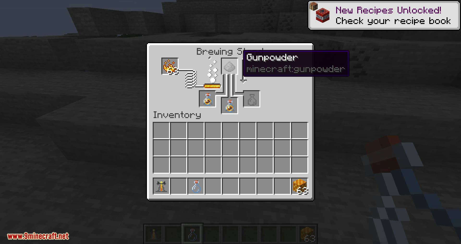 Potion of Bees mod for minecraft 08