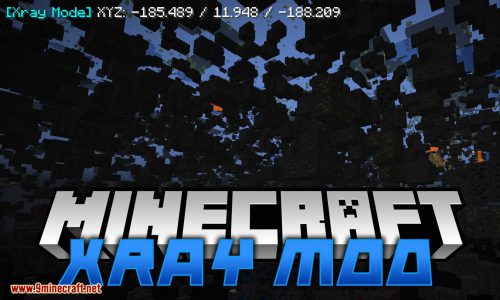 Xray Mod for minecraft logo