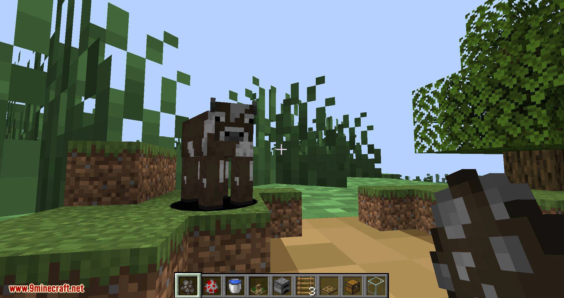 Chunk in a Globe mod for minecraft 13