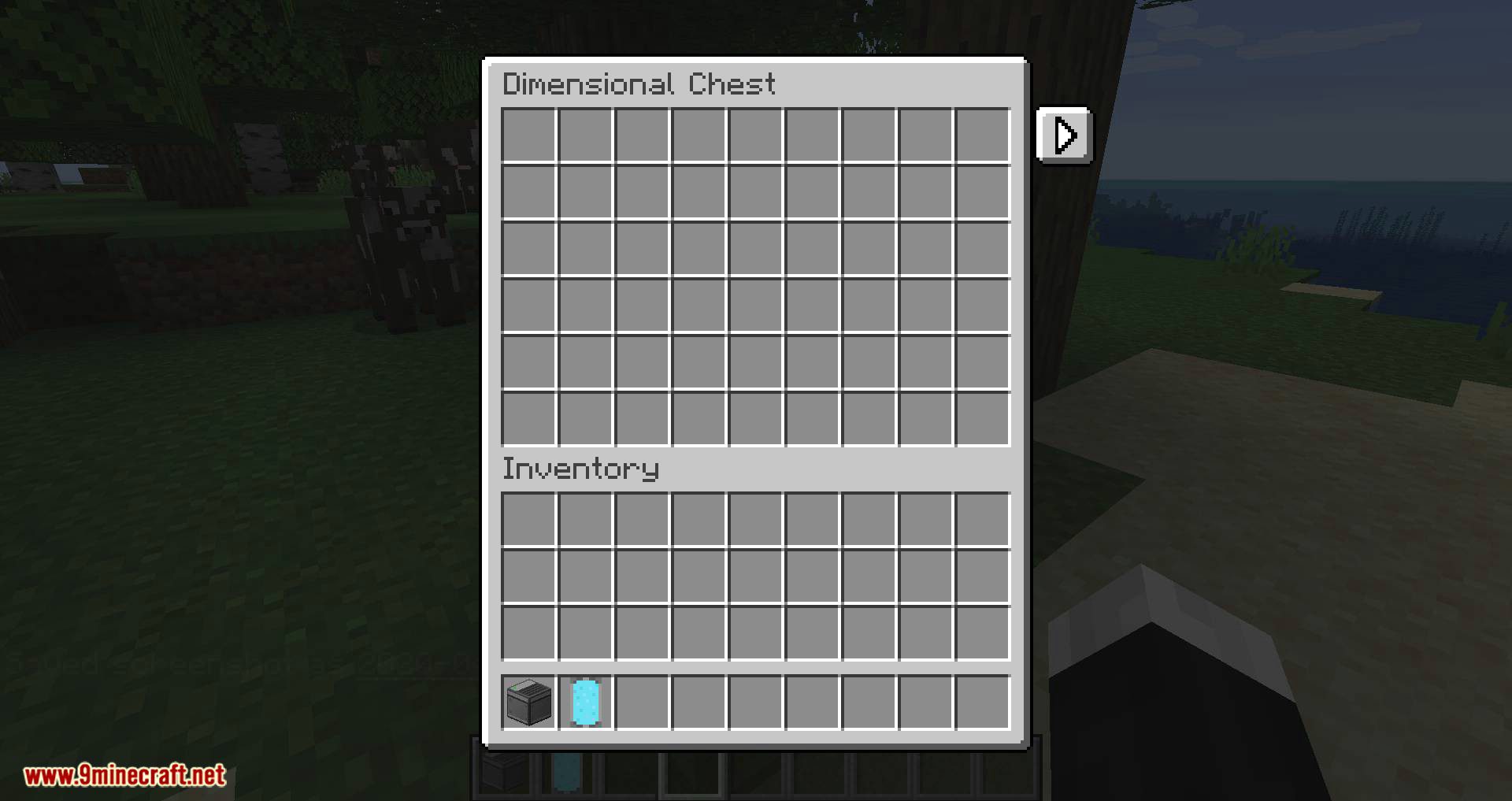 DimStorage mod for minecraft 02