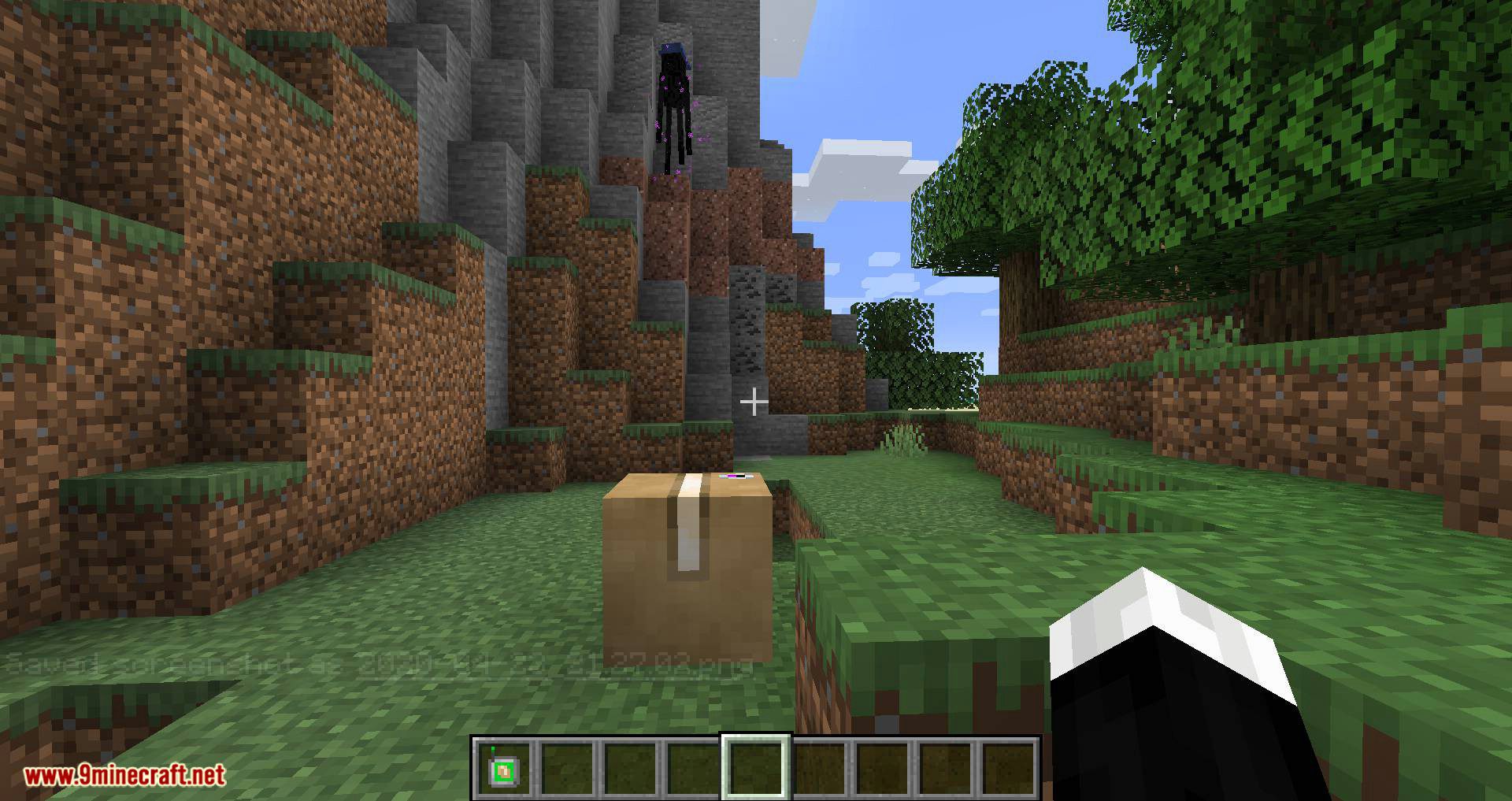 Ender Mail mod for minecraft 09