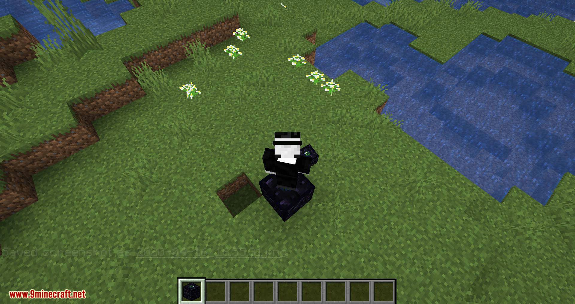 Enderlift mod for minecraft 03