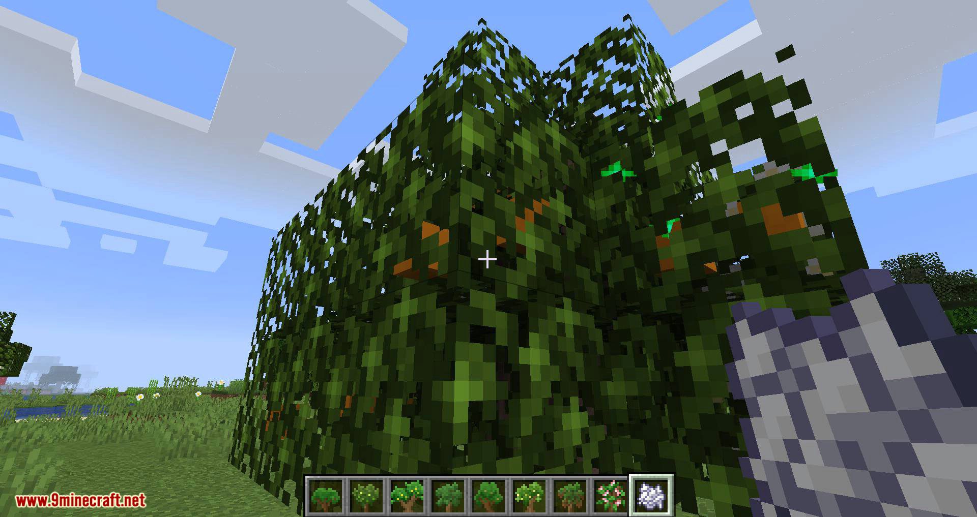 Fruit Trees mod for minecraft 03