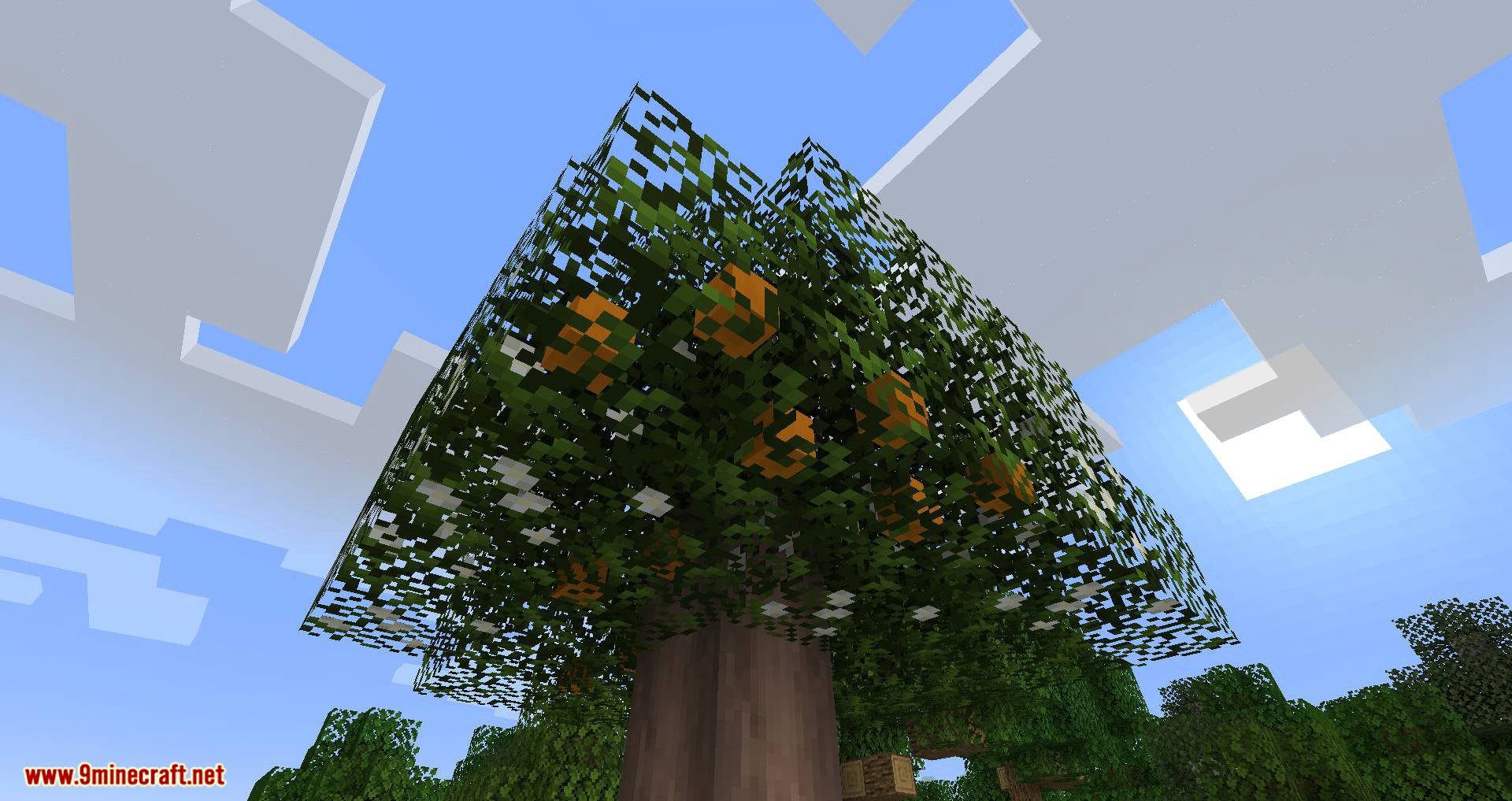 Fruit Trees mod for minecraft 06