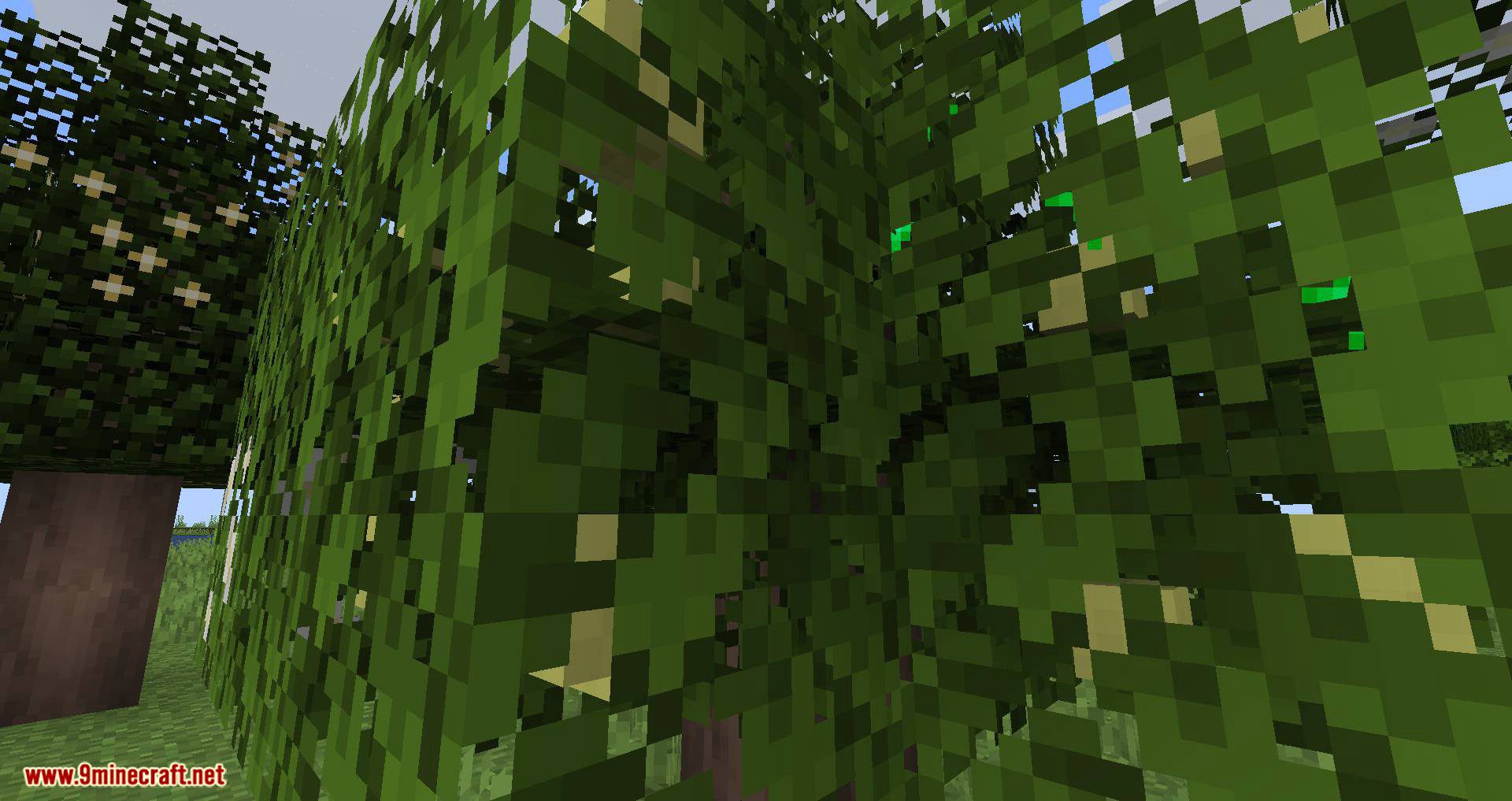 Fruit Trees mod for minecraft 07