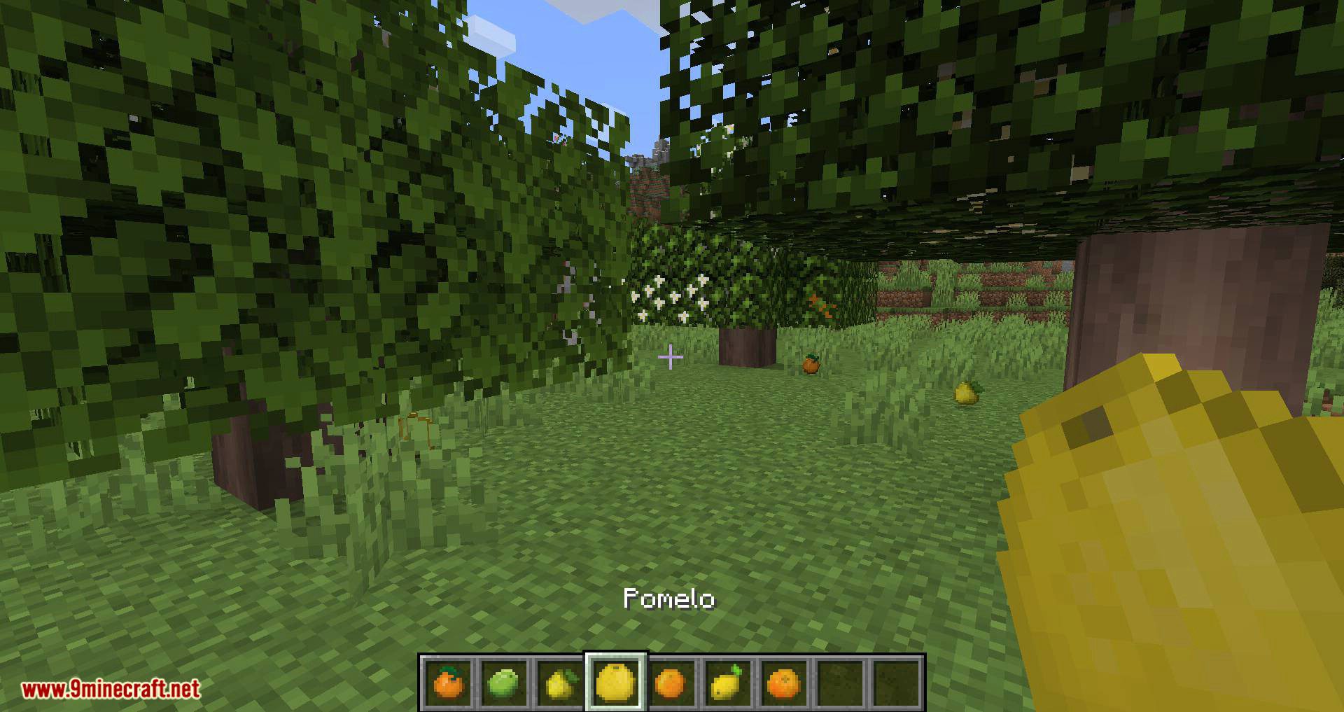 Fruit Trees mod for minecraft 10