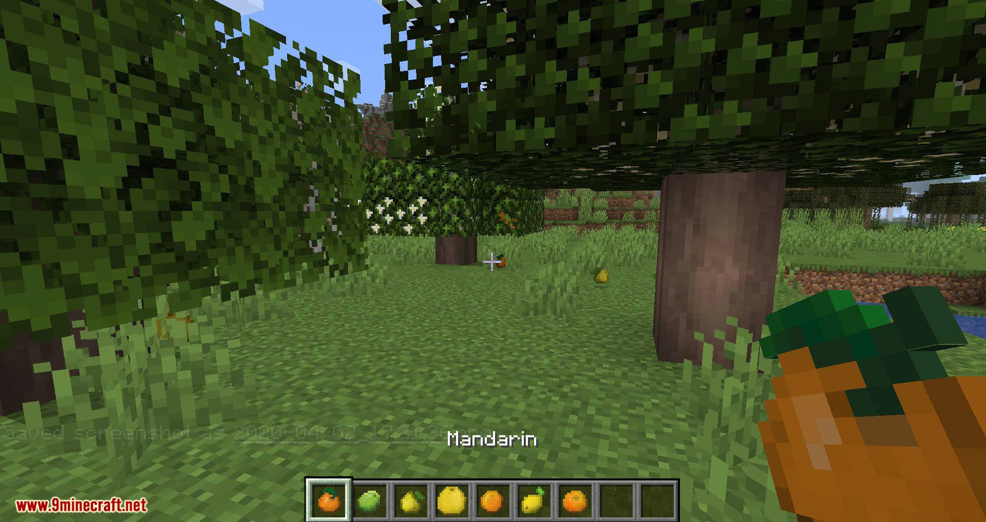 Fruit Trees mod for minecraft 11