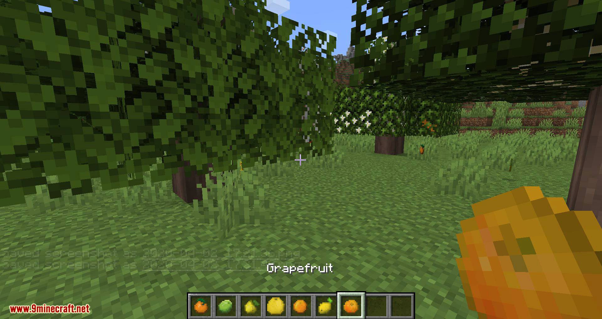 Fruit Trees mod for minecraft 12