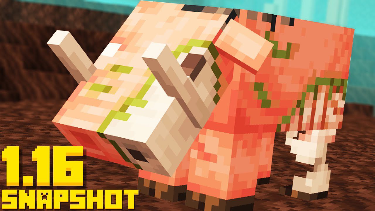 Minecraft 1.16 Snapshot 20w14a