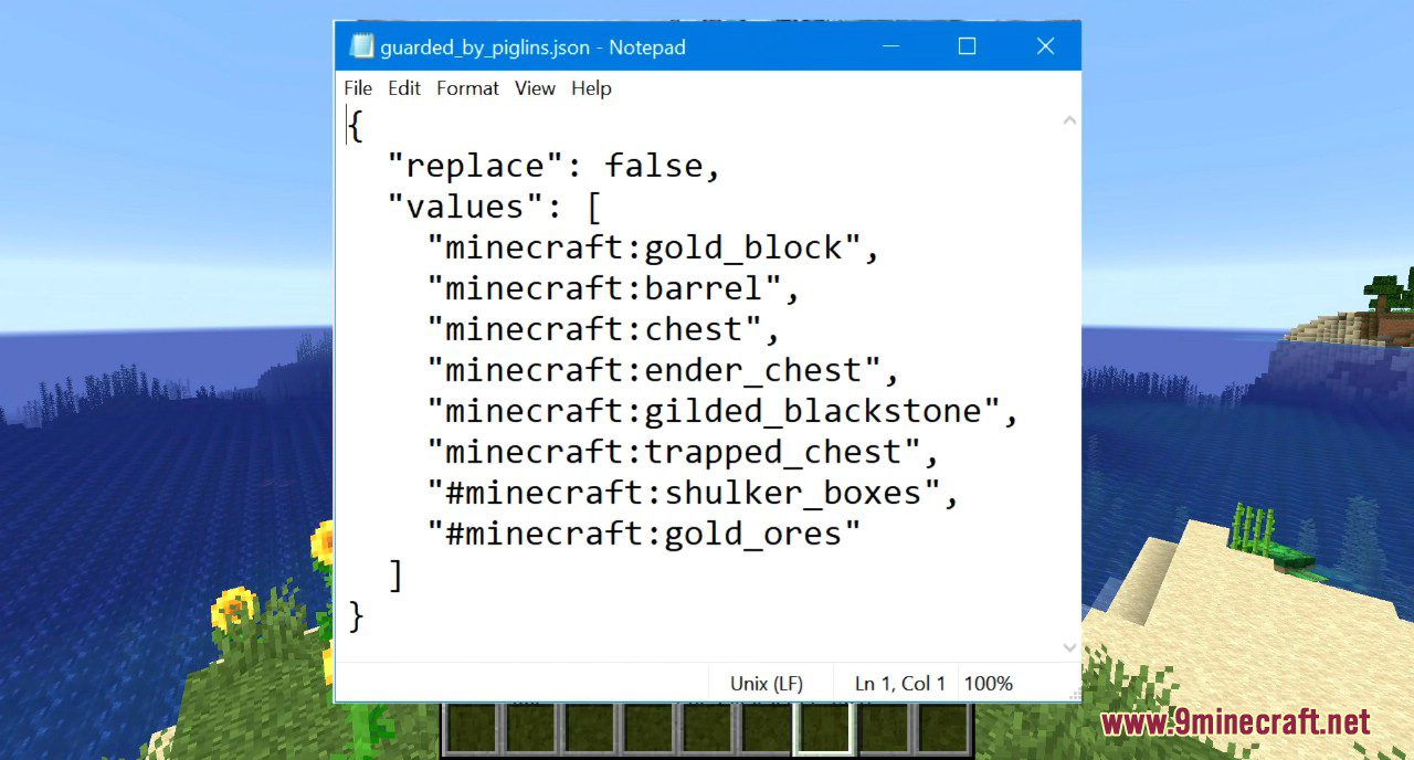 Minecraft 1.16 Snapshot 20w17a Screenshots 4