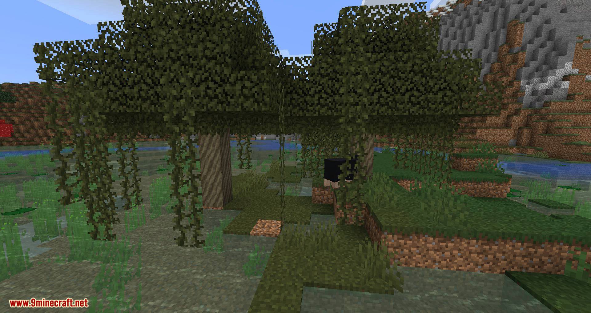 Swamp Expansion mod for minecraft 01