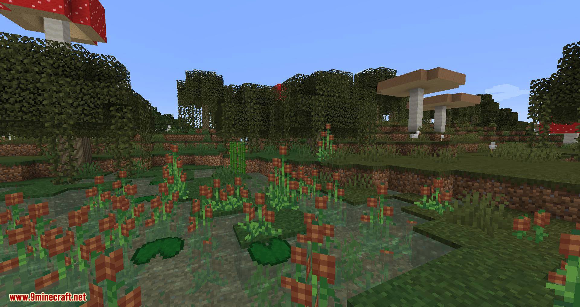 Swamp Expansion mod for minecraft 02