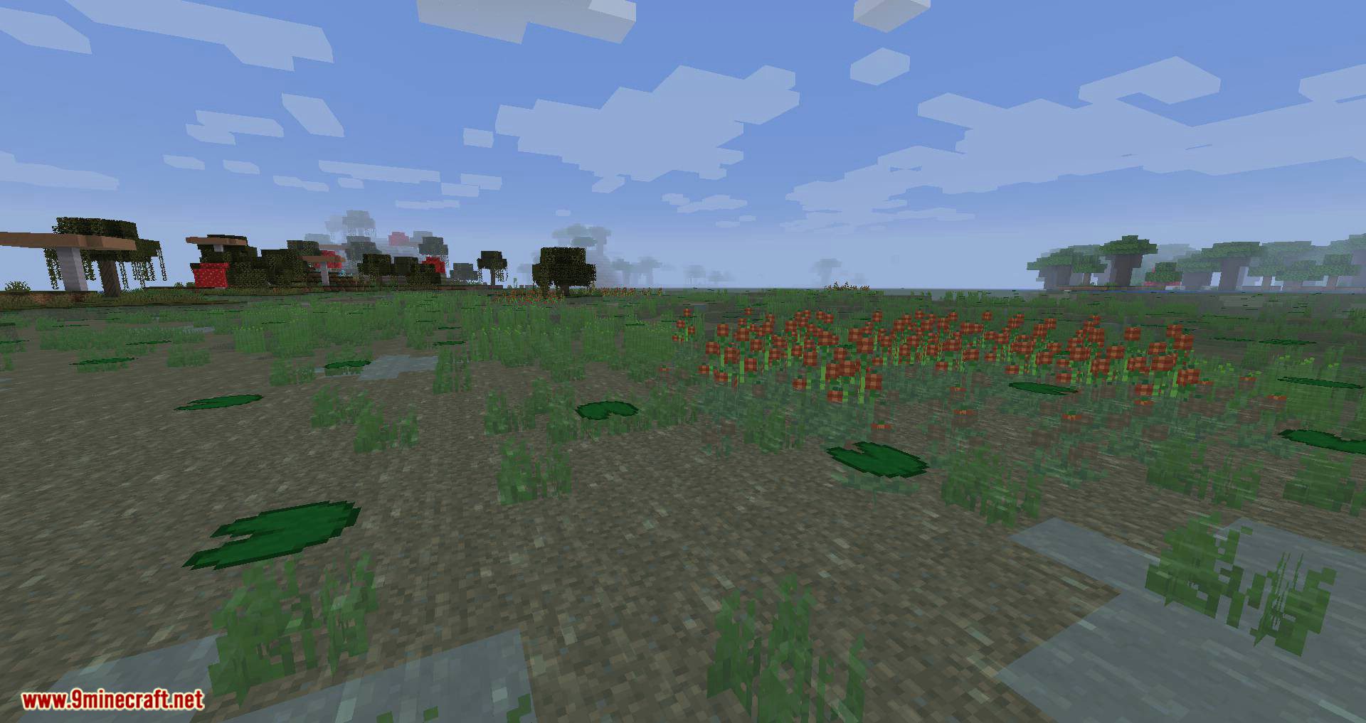 Swamp Expansion mod for minecraft 05