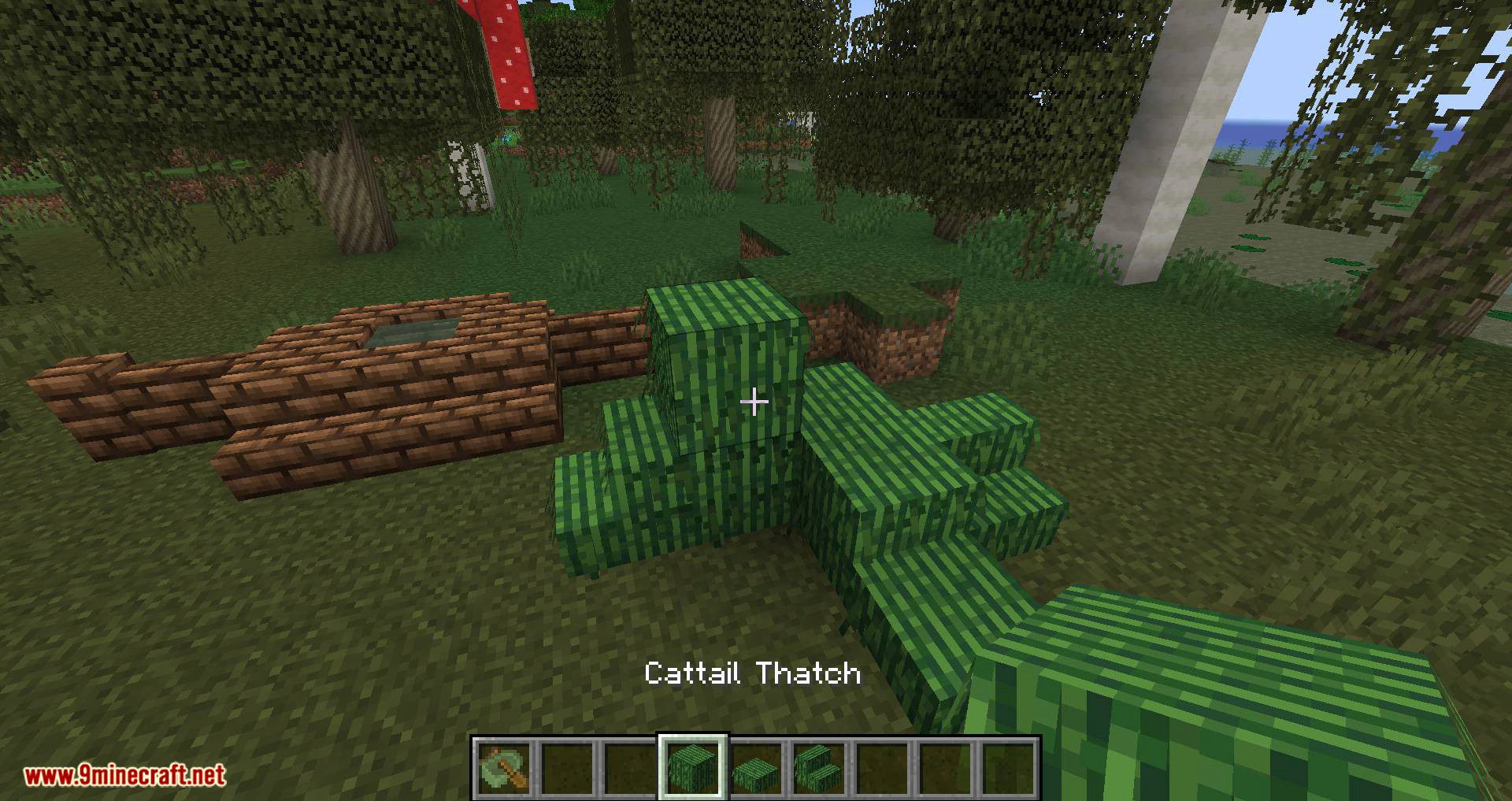 Swamp Expansion mod for minecraft 07