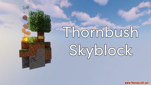 Thornbush Skyblock Map Thumbnail