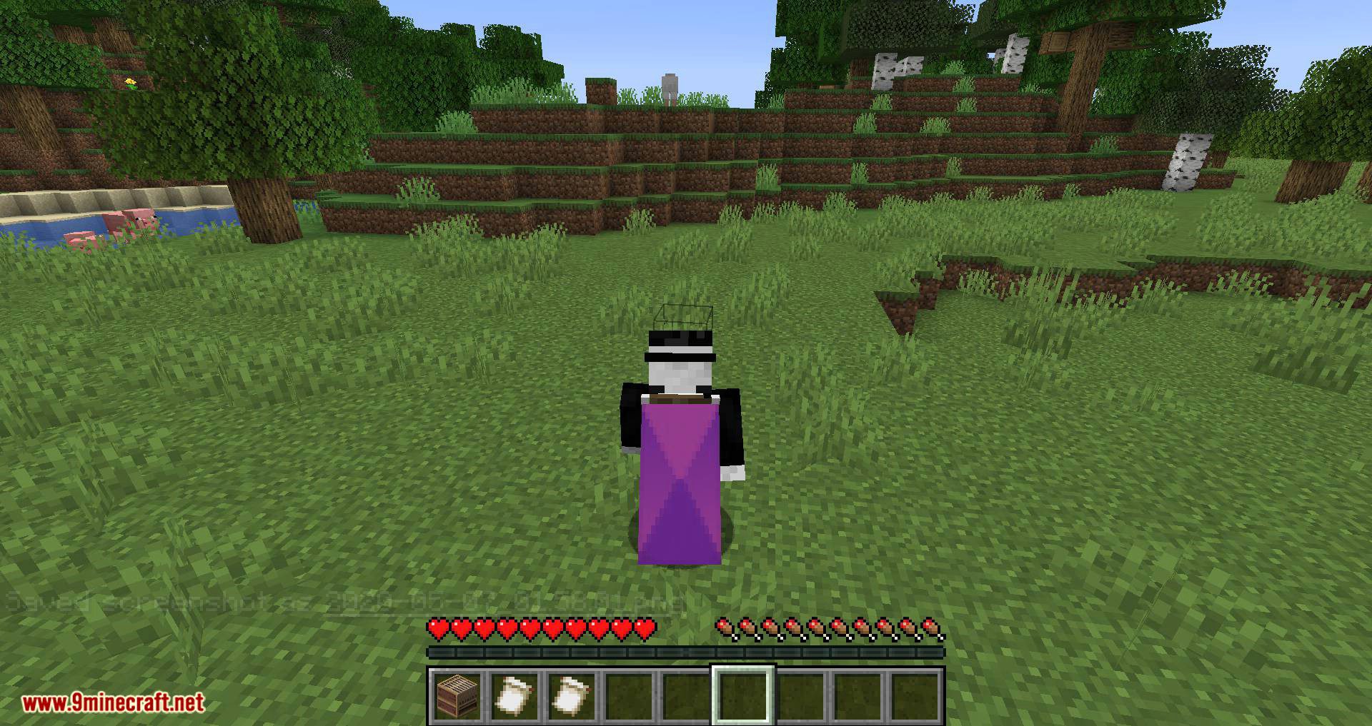 Banner Capes mod for minecraft 06
