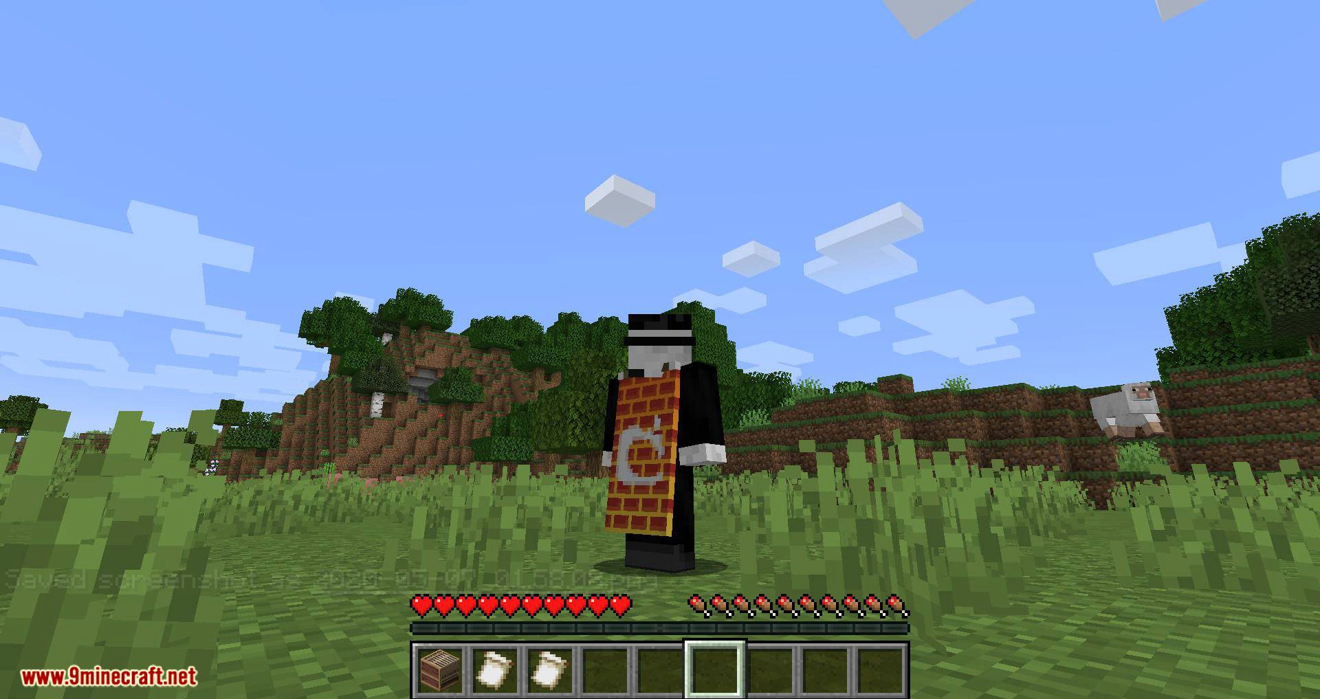Banner Capes mod for minecraft 07