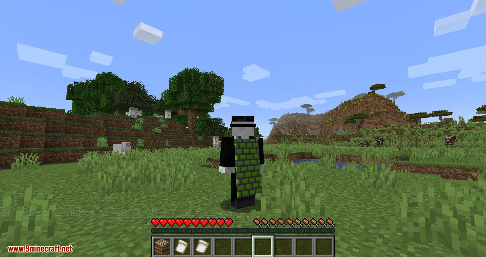 Banner Capes mod for minecraft 08