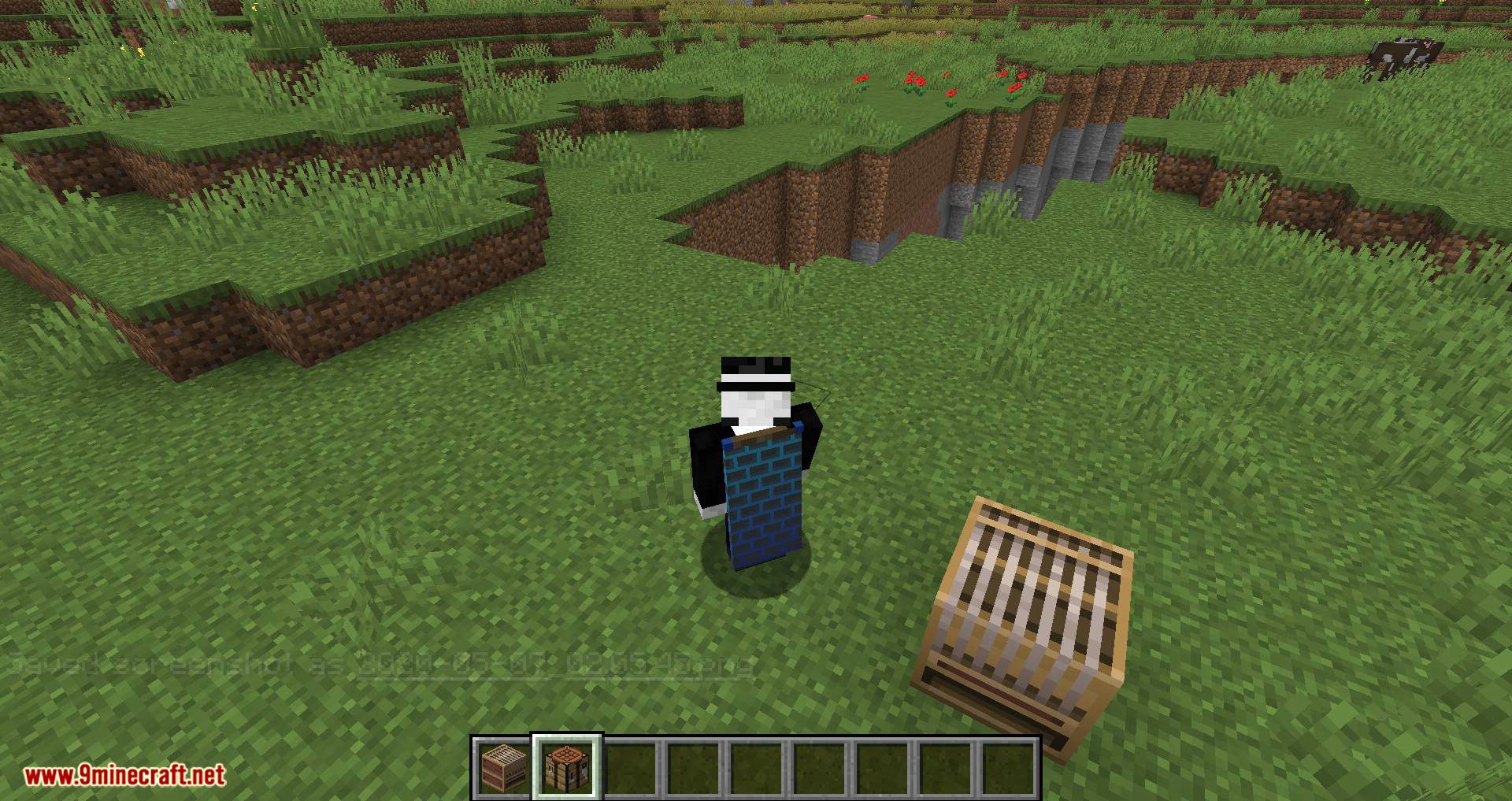Banner Capes mod for minecraft 12