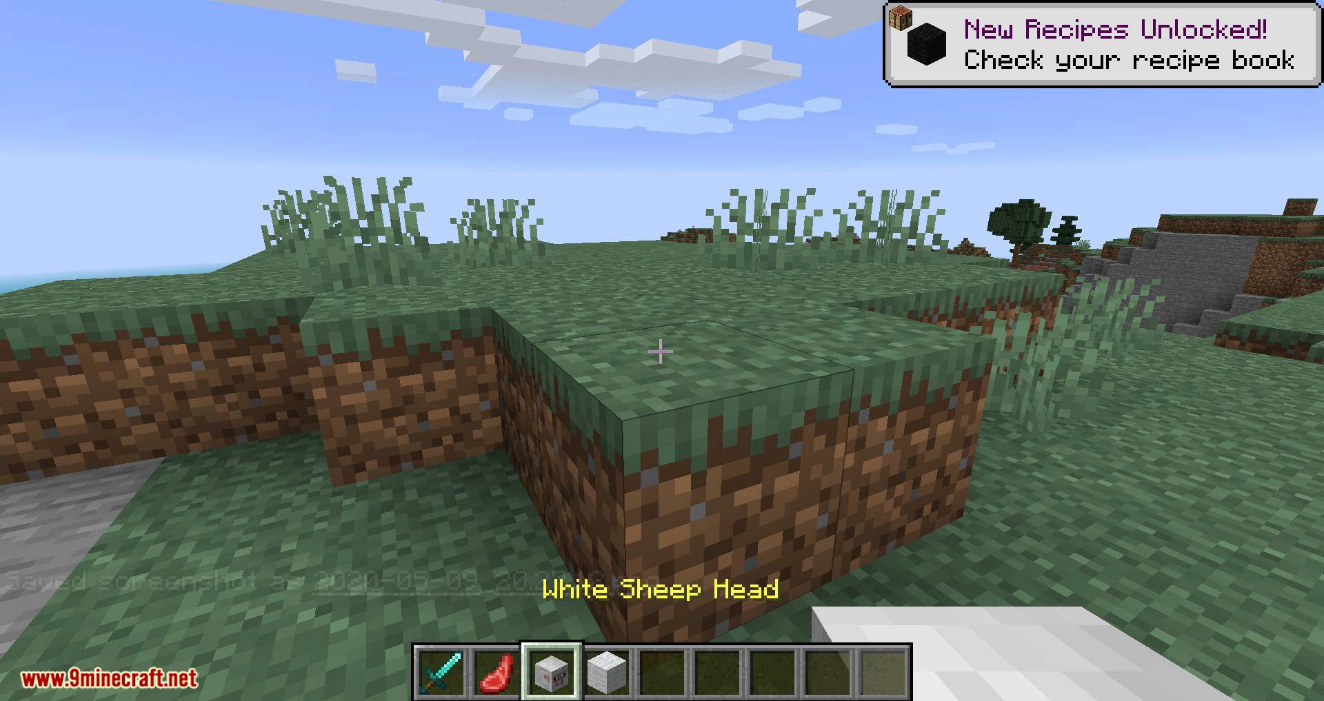 Mob Heads mod for minecraft 03