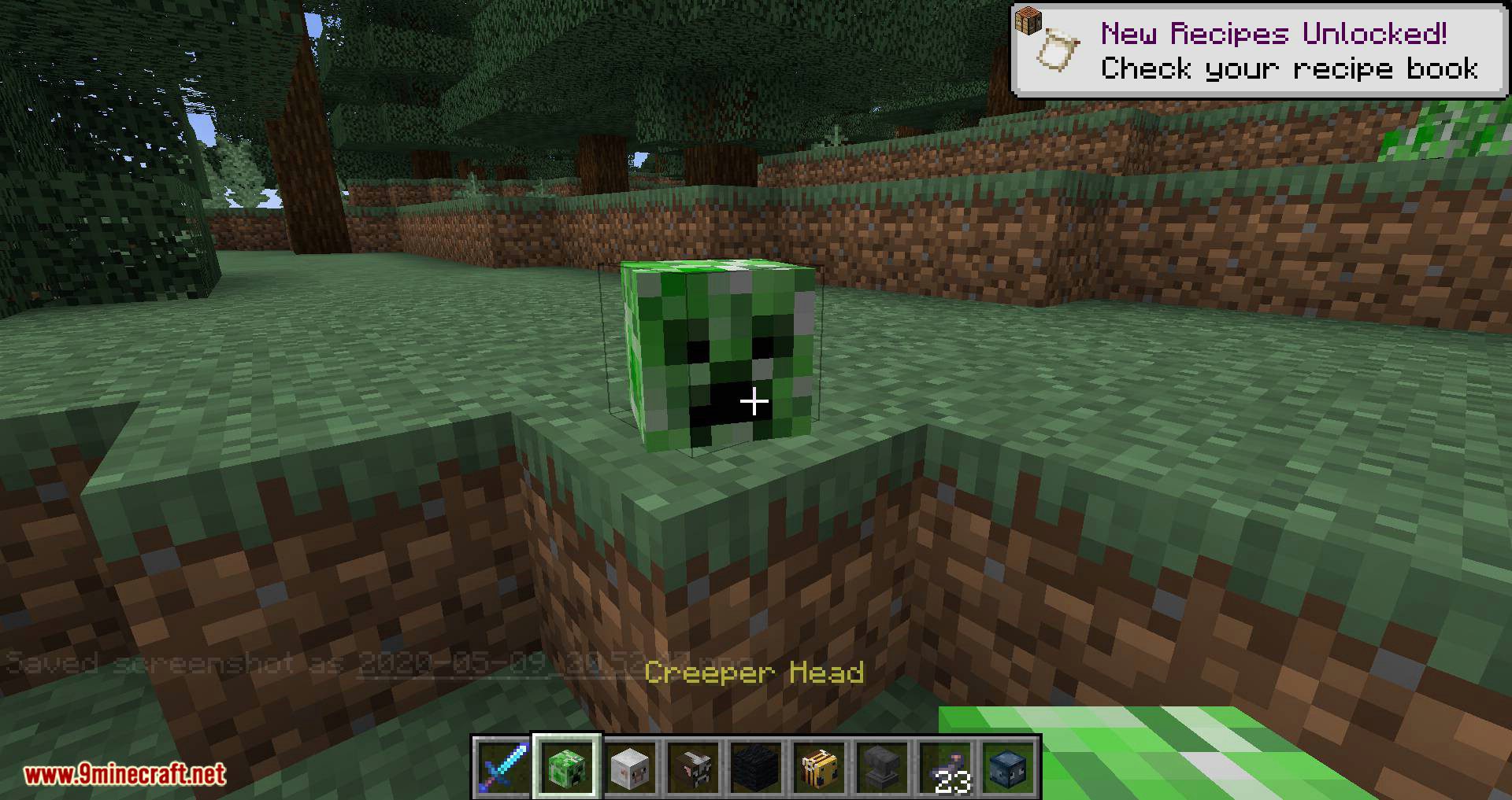 Mob Heads mod for minecraft 13