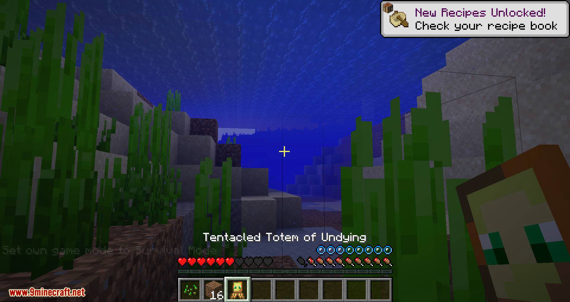 More Totems of Undying mod for minecraft 08