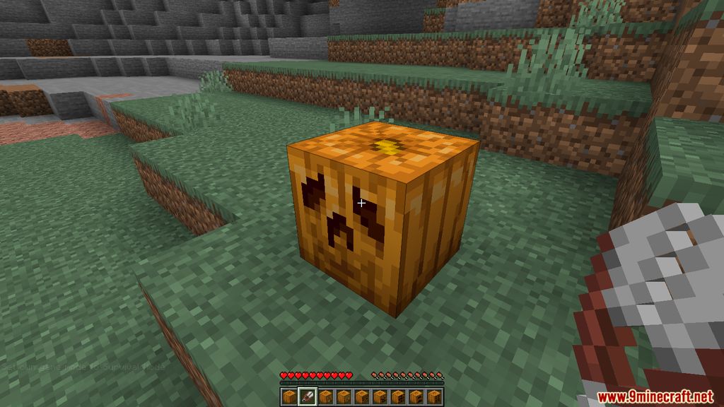 Oh My Gourd Resource Pack Screenshots 2