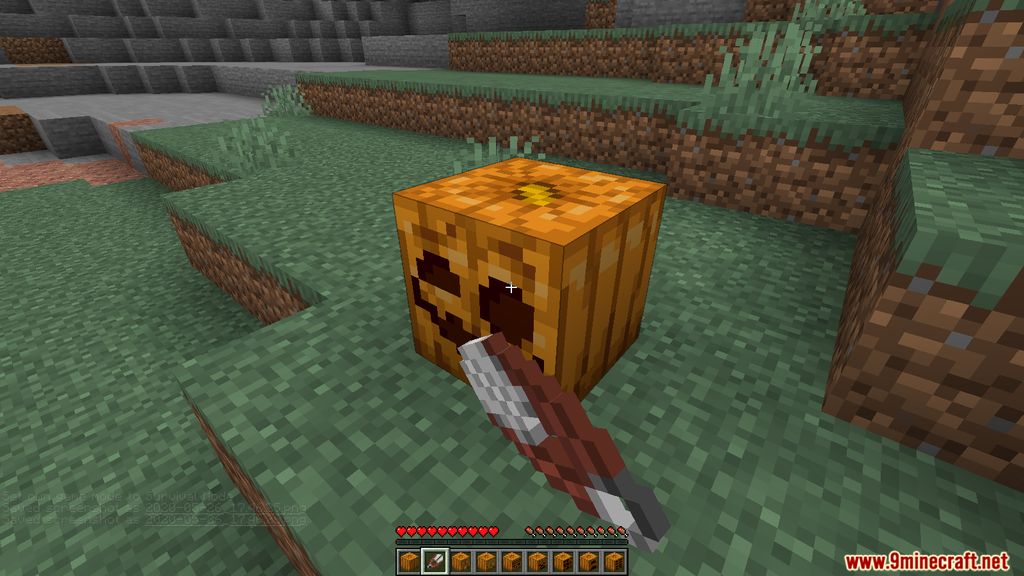 Oh My Gourd Resource Pack Screenshots 3