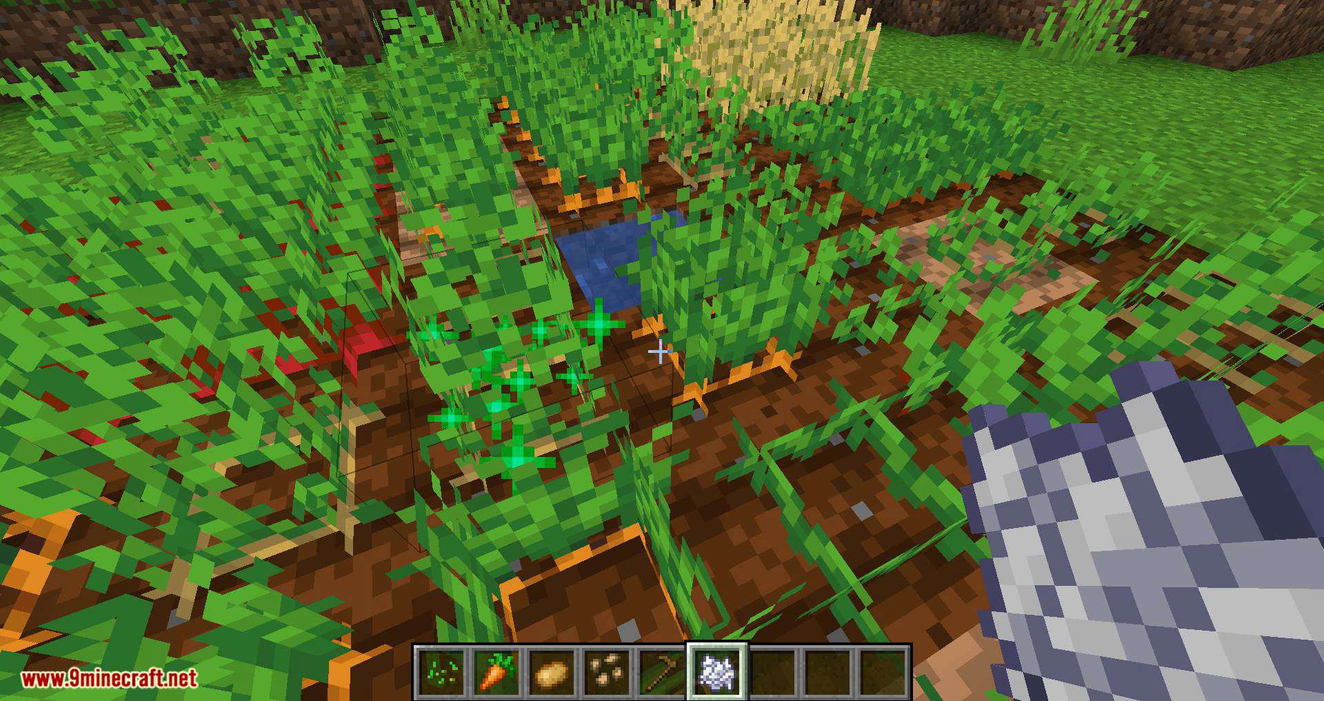 Replanting Crops mod for minecraft 03