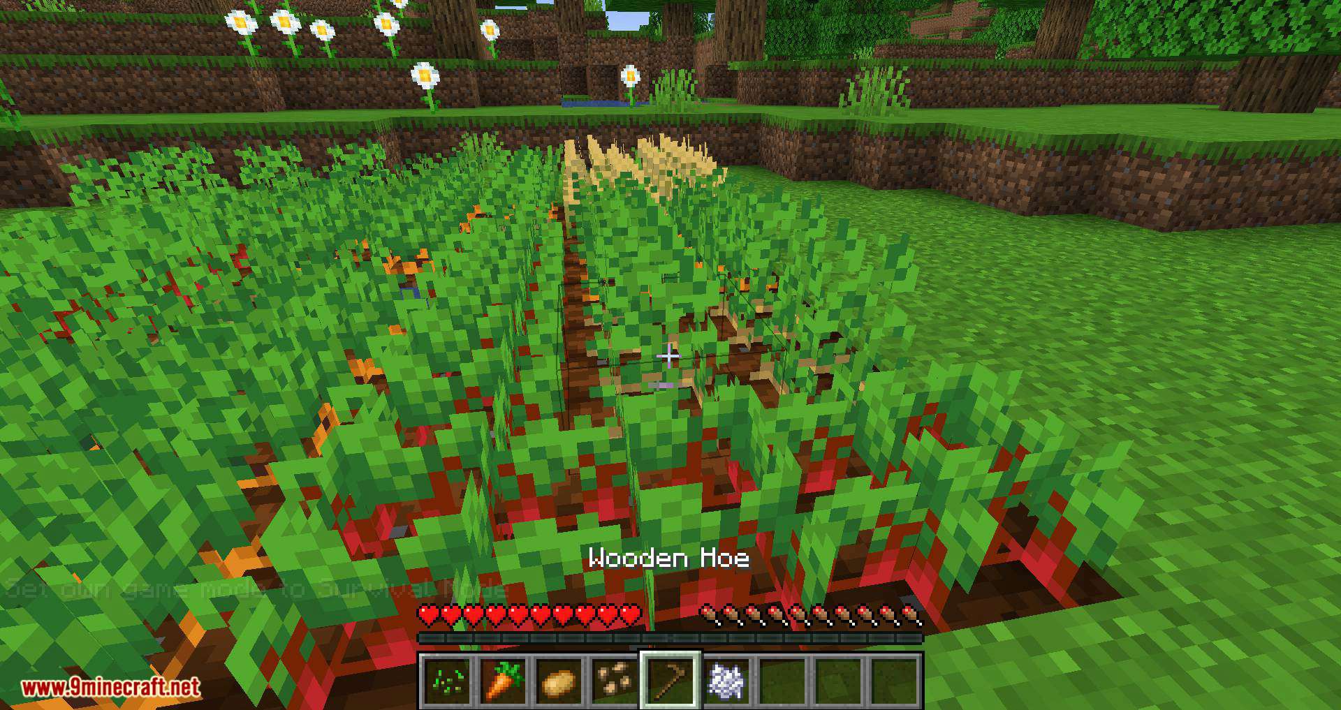 Replanting Crops mod for minecraft 05