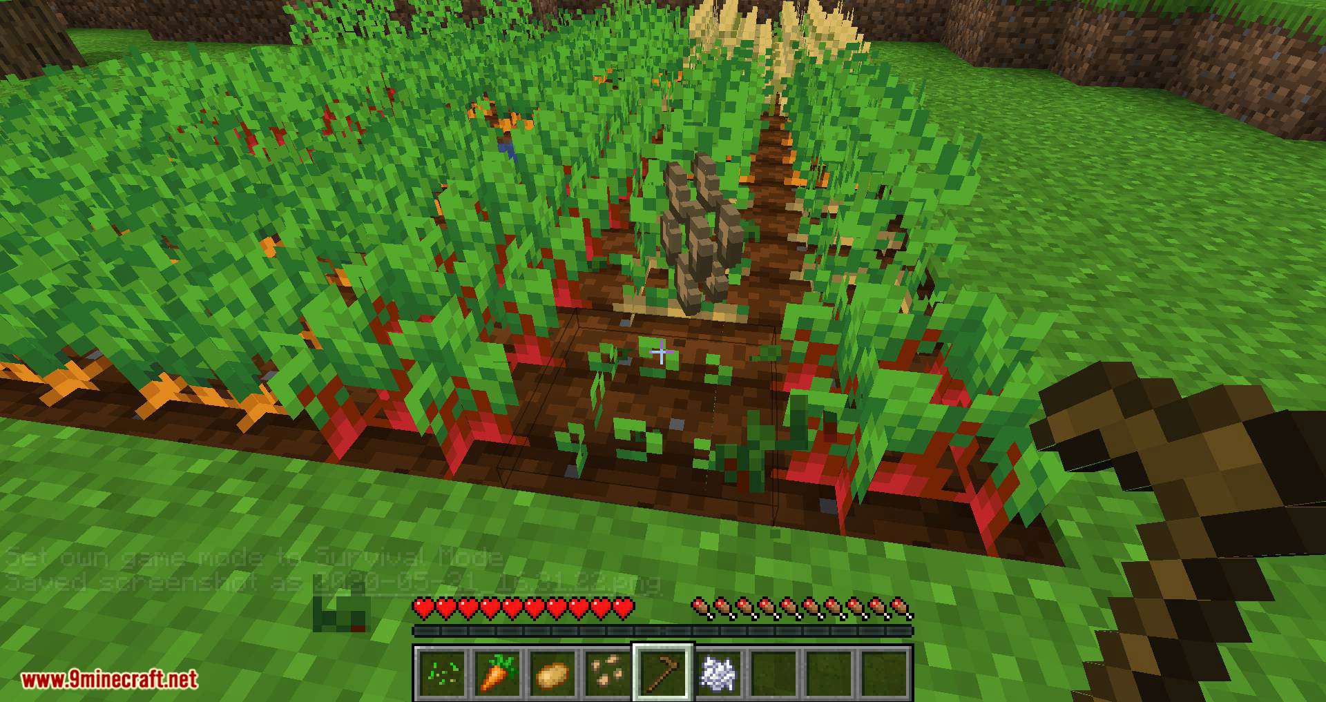 Replanting Crops mod for minecraft 06
